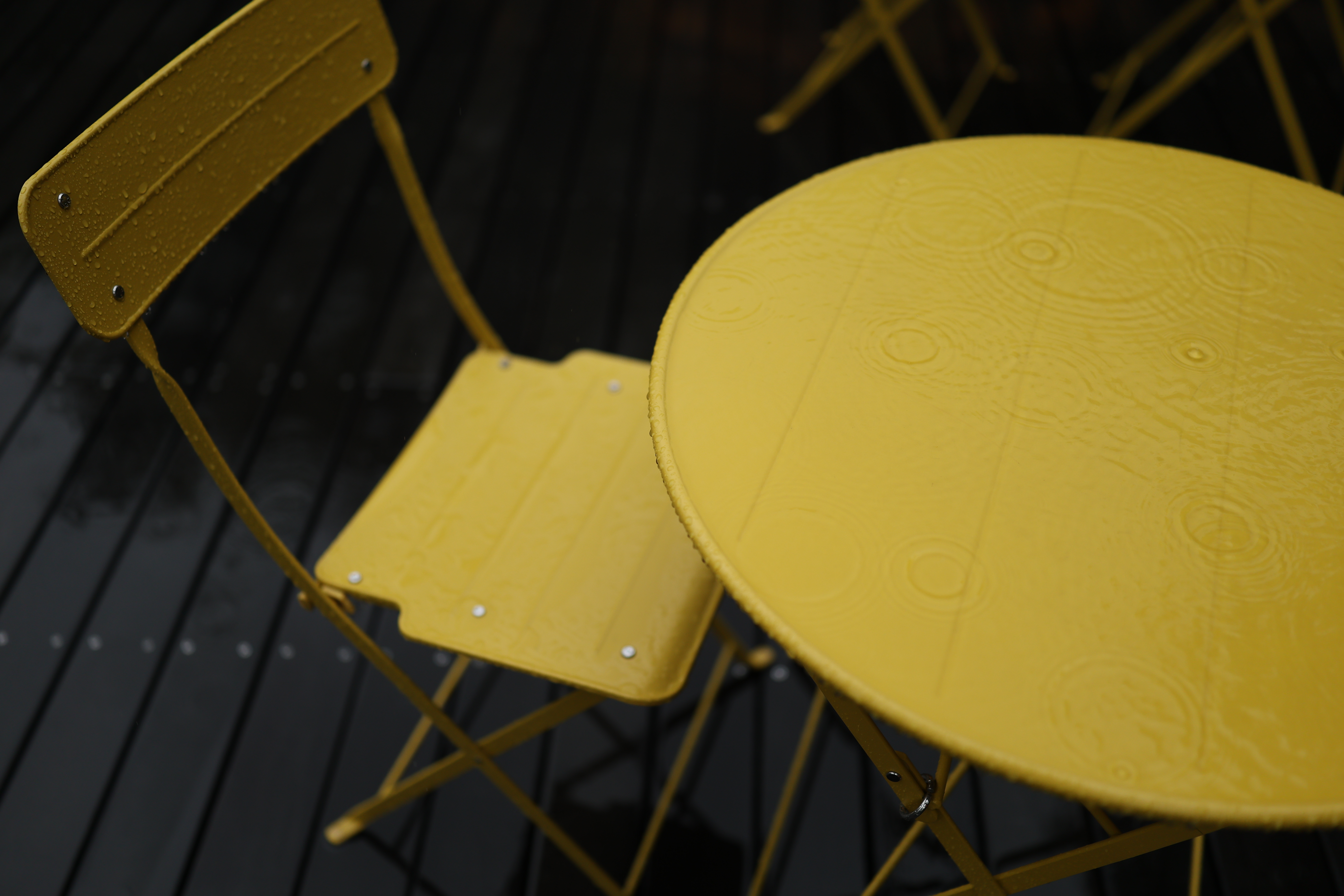 こちらも絞り開放。ボケがなだらかに移行するのに加えて、ボケの質も滑らかで綺麗だ<br><span class="fnt-85">キヤノン EOS R6 Mark II／RF35mm F1.4 L VCM／絞り優先AE（1/800秒、F1.4、−0.3EV）／ISO 200</span>