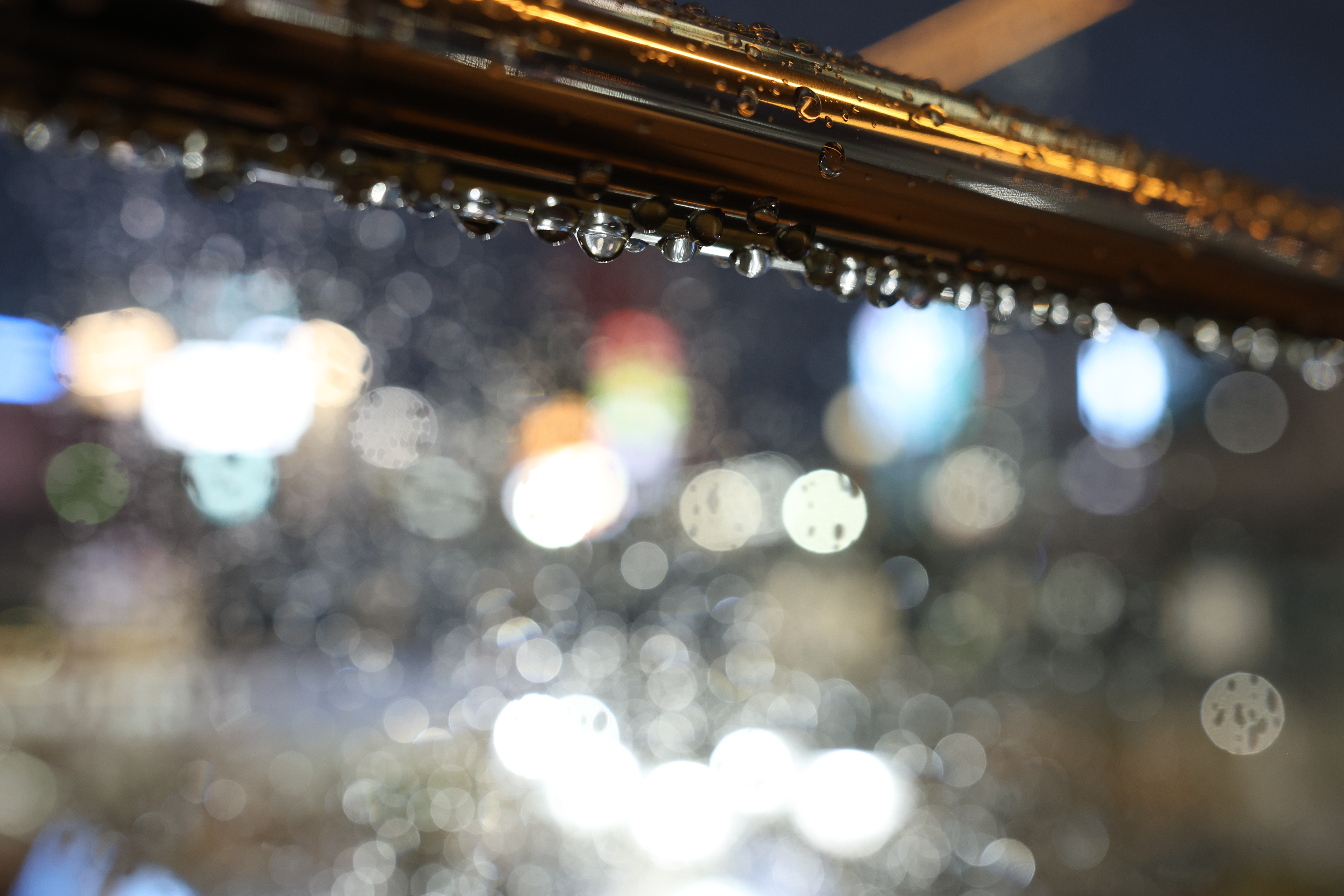 F2.8まで絞ると周辺の玉ボケも含めてほぼ真円になる。11枚羽根の円形絞りもそれに貢献している。玉ボケの内部はクリアで、輪郭も主張が少ないタイプだ<br><span class="fnt-85">キヤノン EOS R6 Mark II／RF35mm F1.4 L VCM／絞り優先AE（1/125秒、F2.8、±0.0EV）／ISO 3200</span>