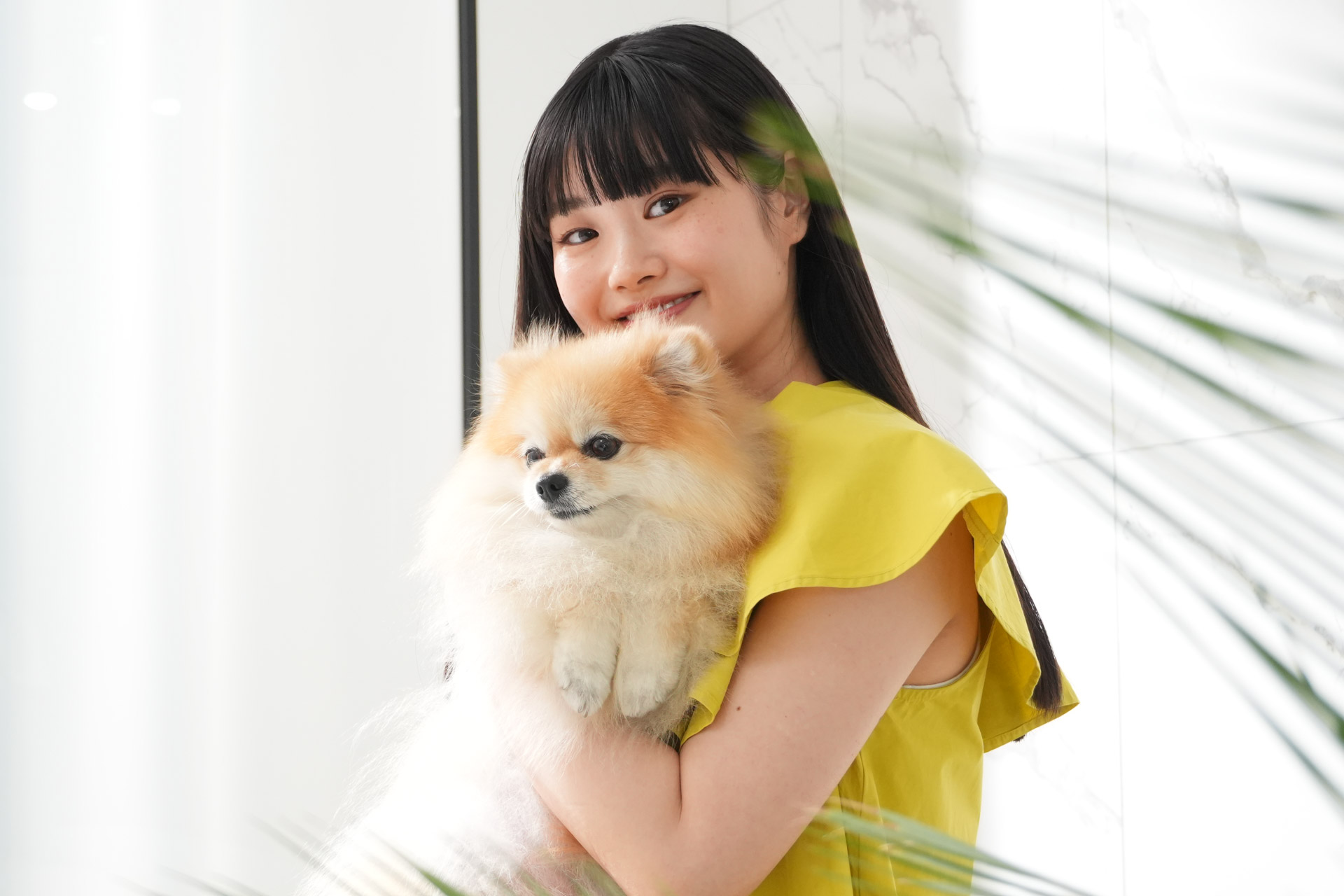 クリエイティブルック：Standard