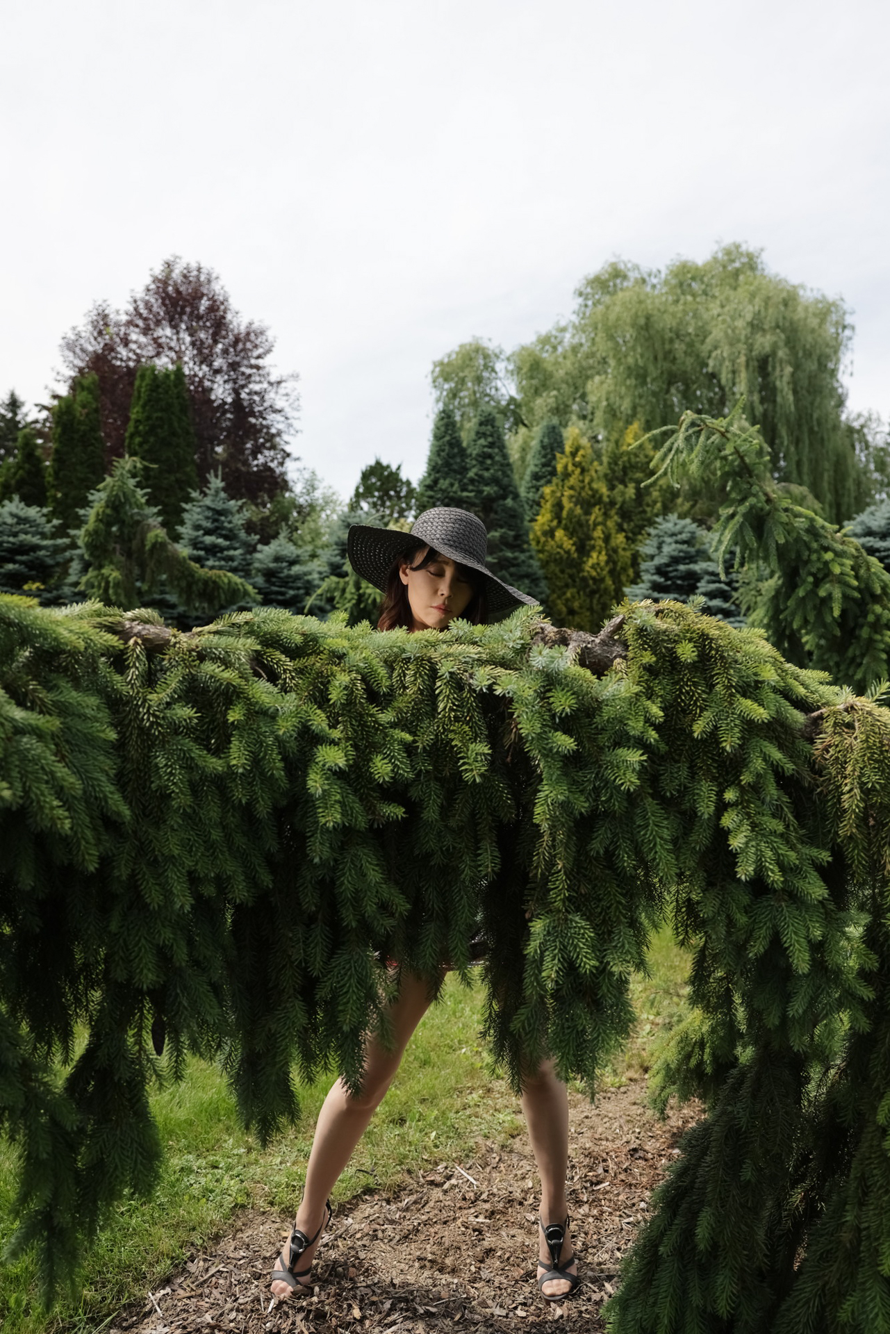 キヤノン EOS R5／RF24-70mm F2.8 L IS USM／絞り優先AE（F3.5、1/8,000秒、−2EV）／ISO 640