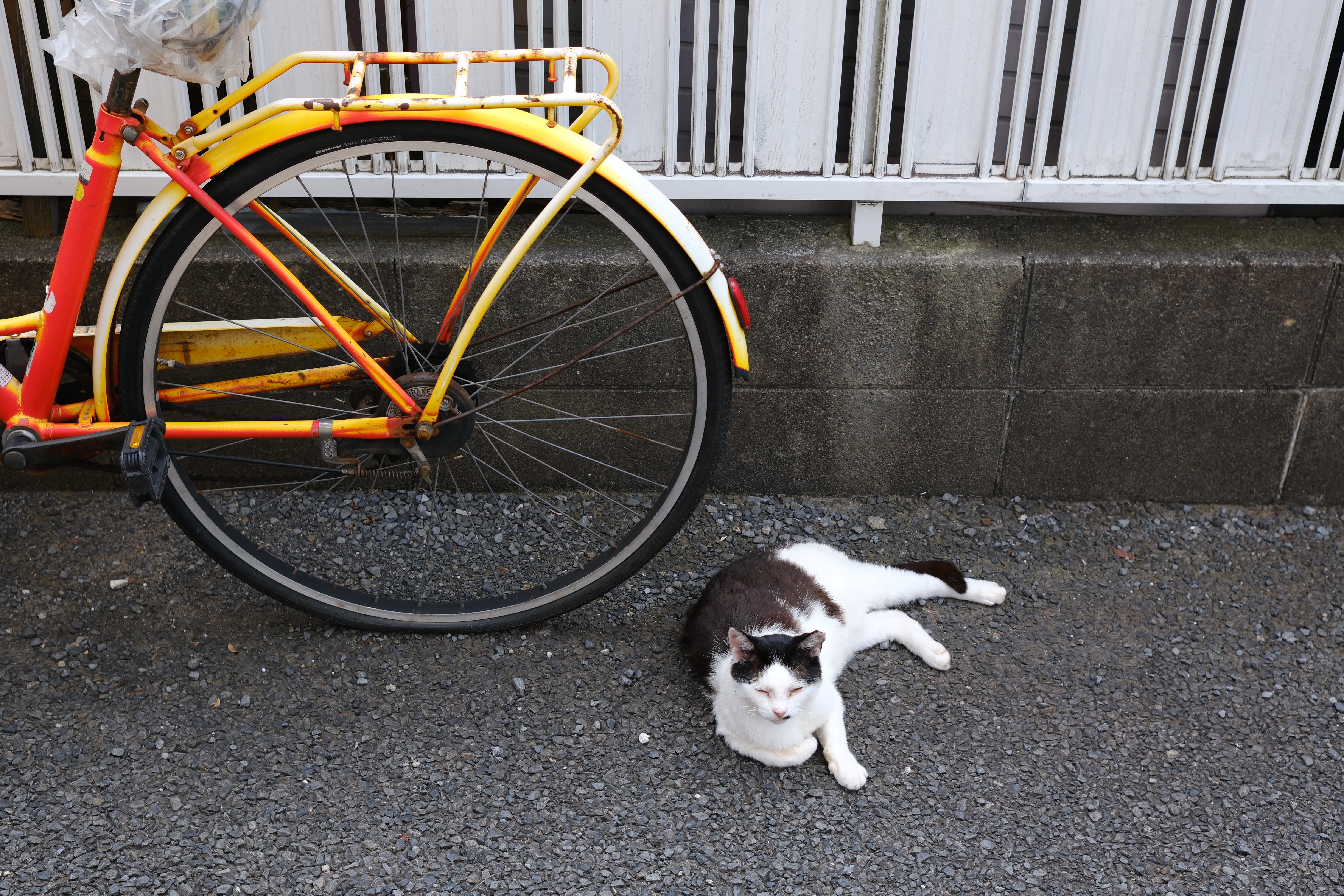 富士フイルム X-H2S／SIRUI Sniper 33mm F1.2／33mm（49.5mm相当）／絞り優先AE（1/300秒、F4.0、−0.7EV）／ISO 160