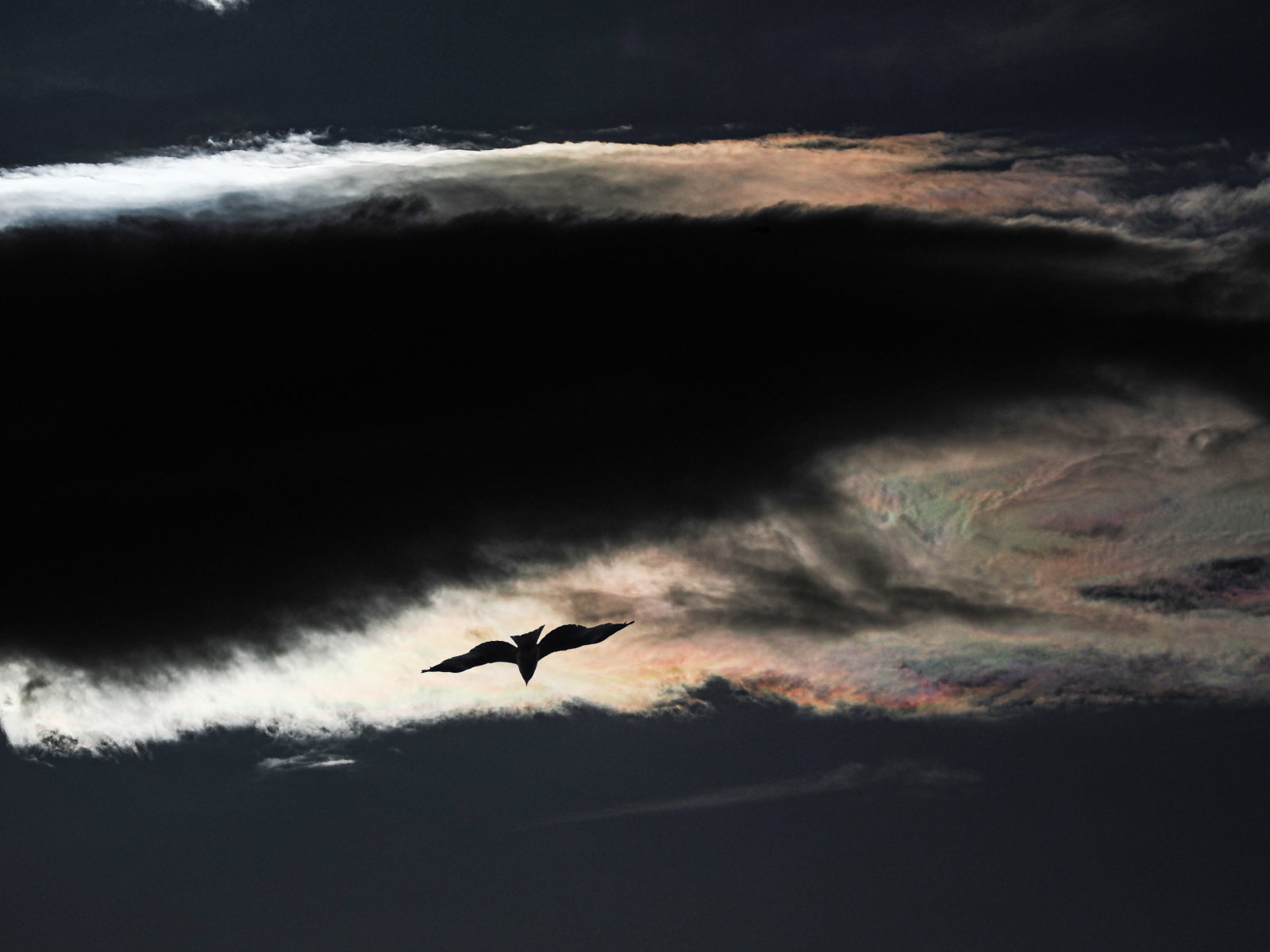 撮影：井上嘉代子