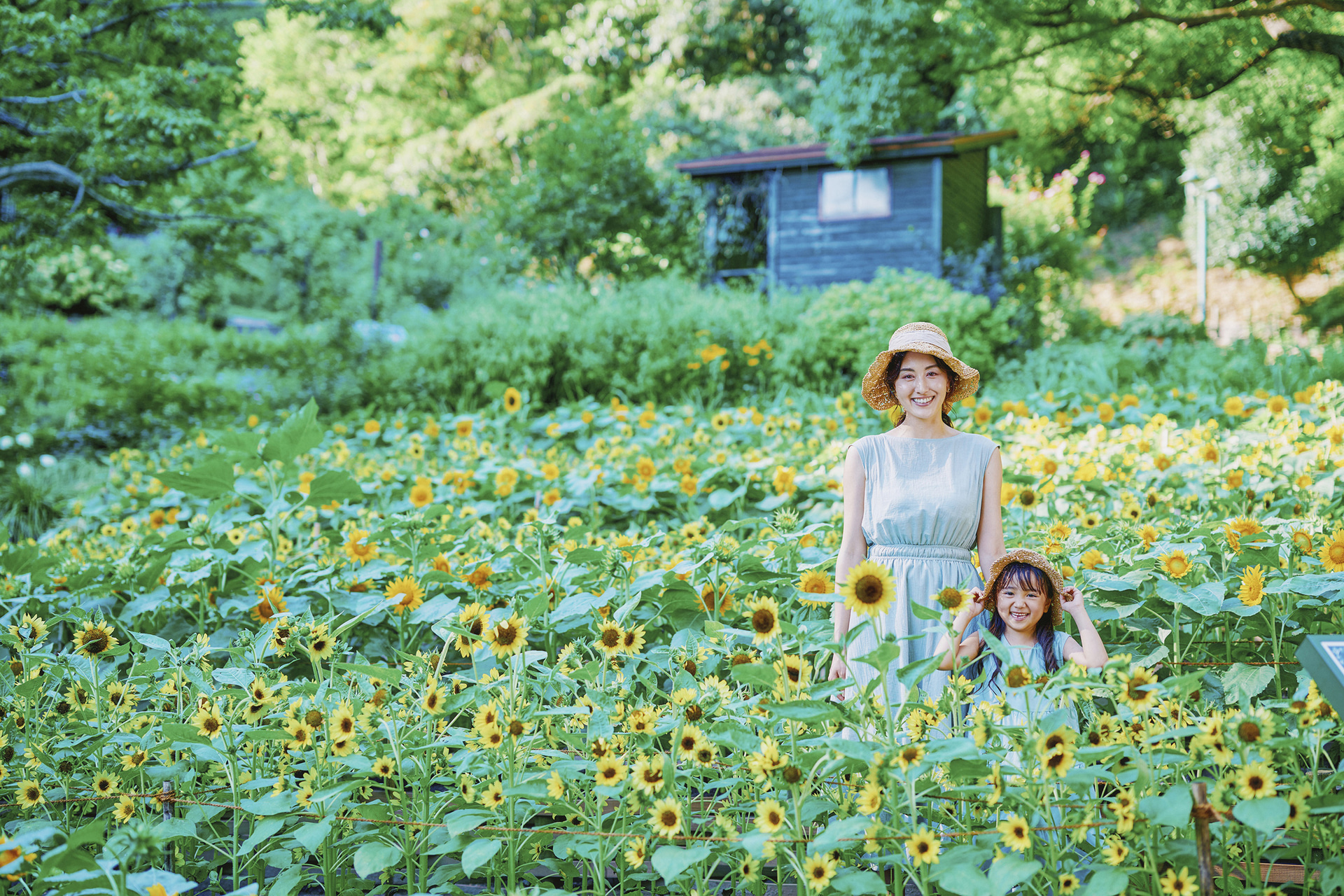 四季の庭-よろこびの庭-