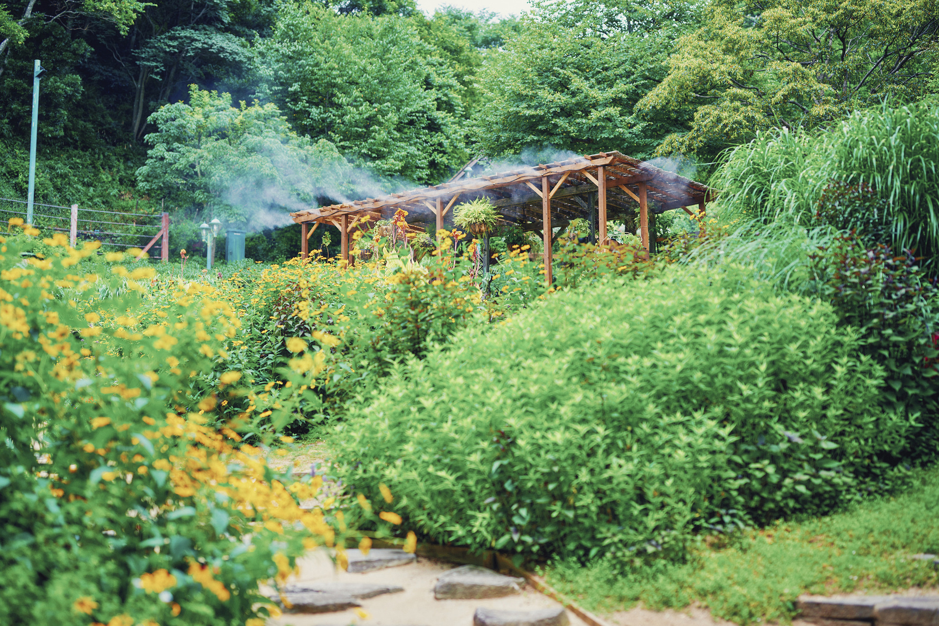 四季の庭-いやしの庭- ミストの森