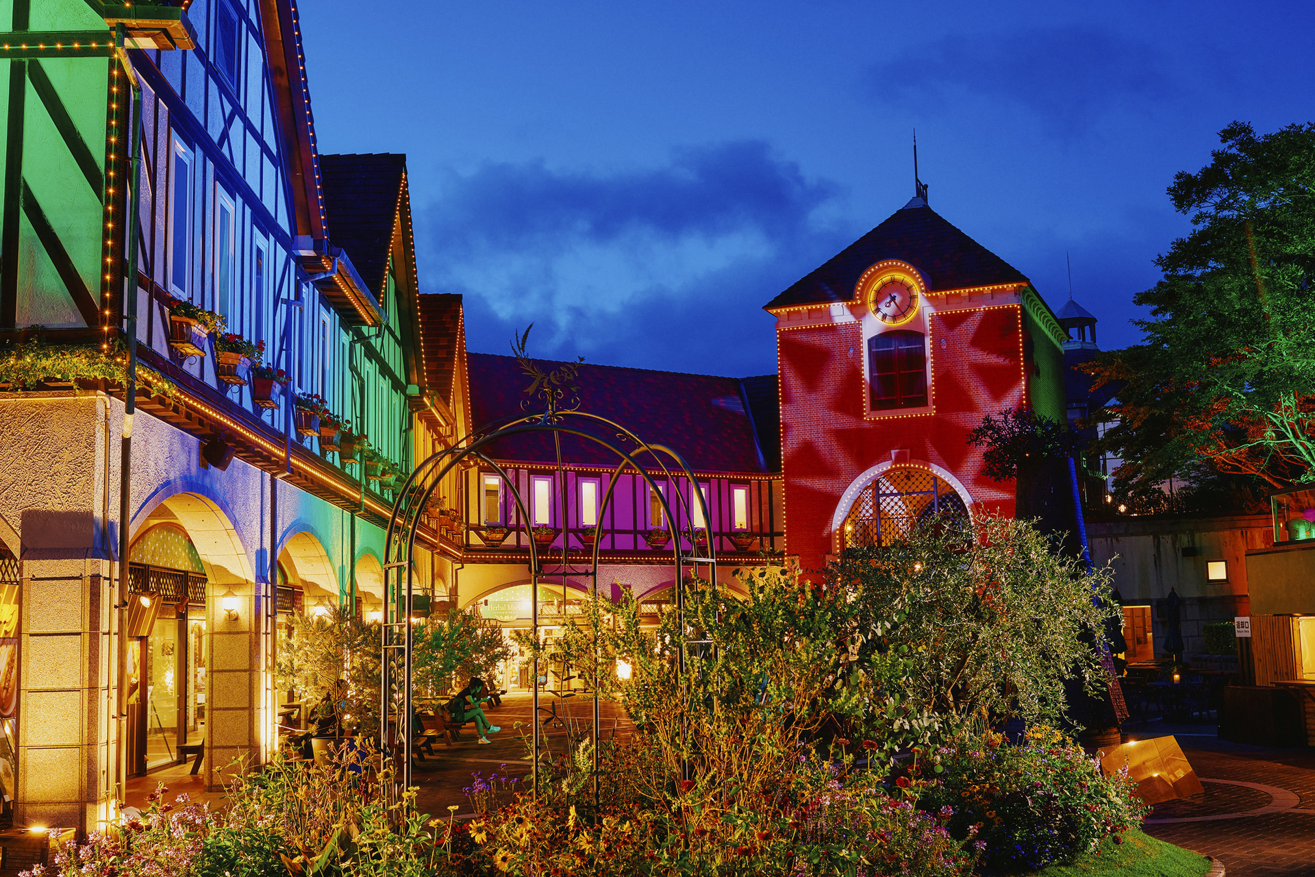 光の森～Forest of Illuminations～森の大聖堂