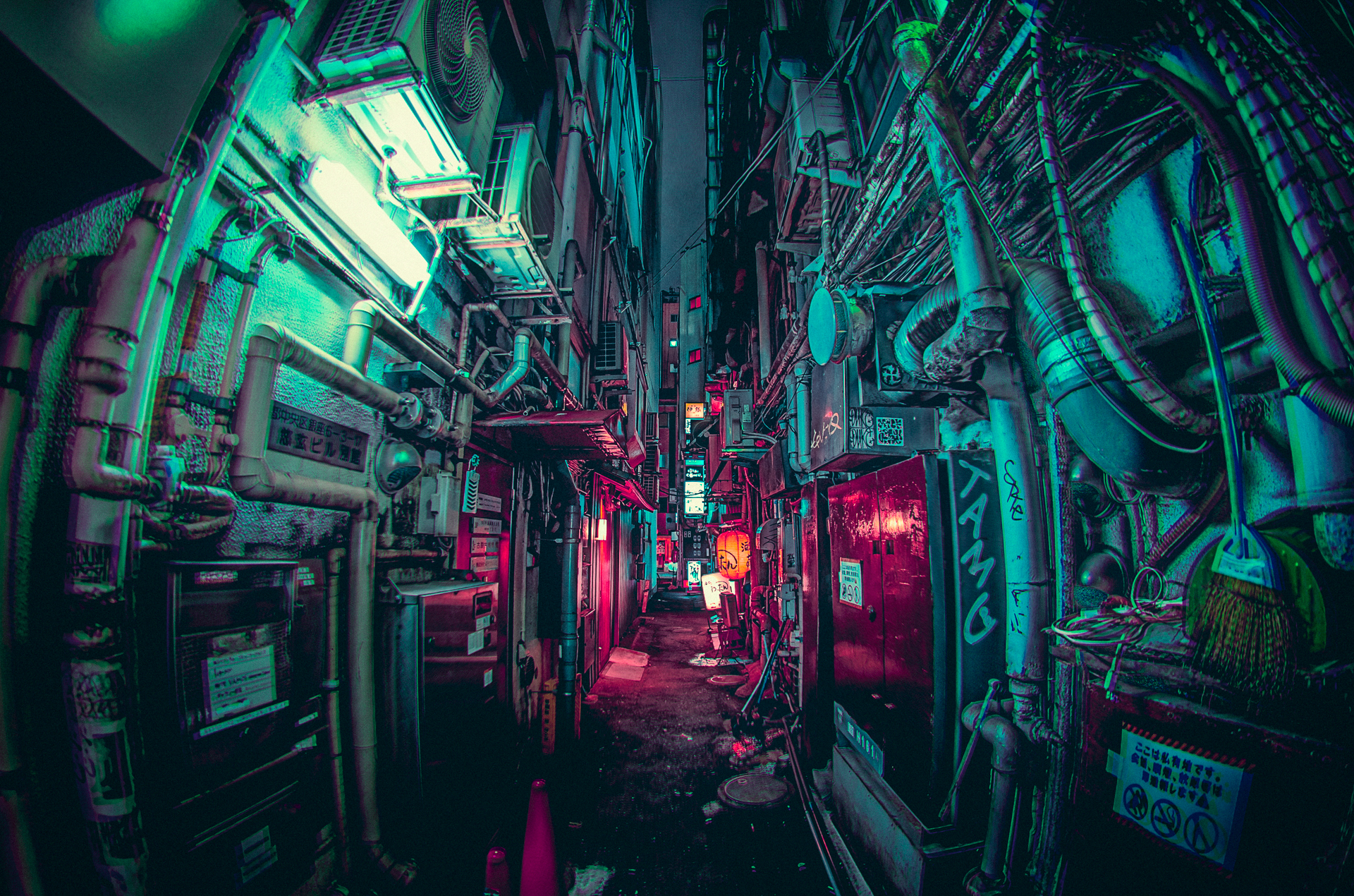 撮影：キツネツキ