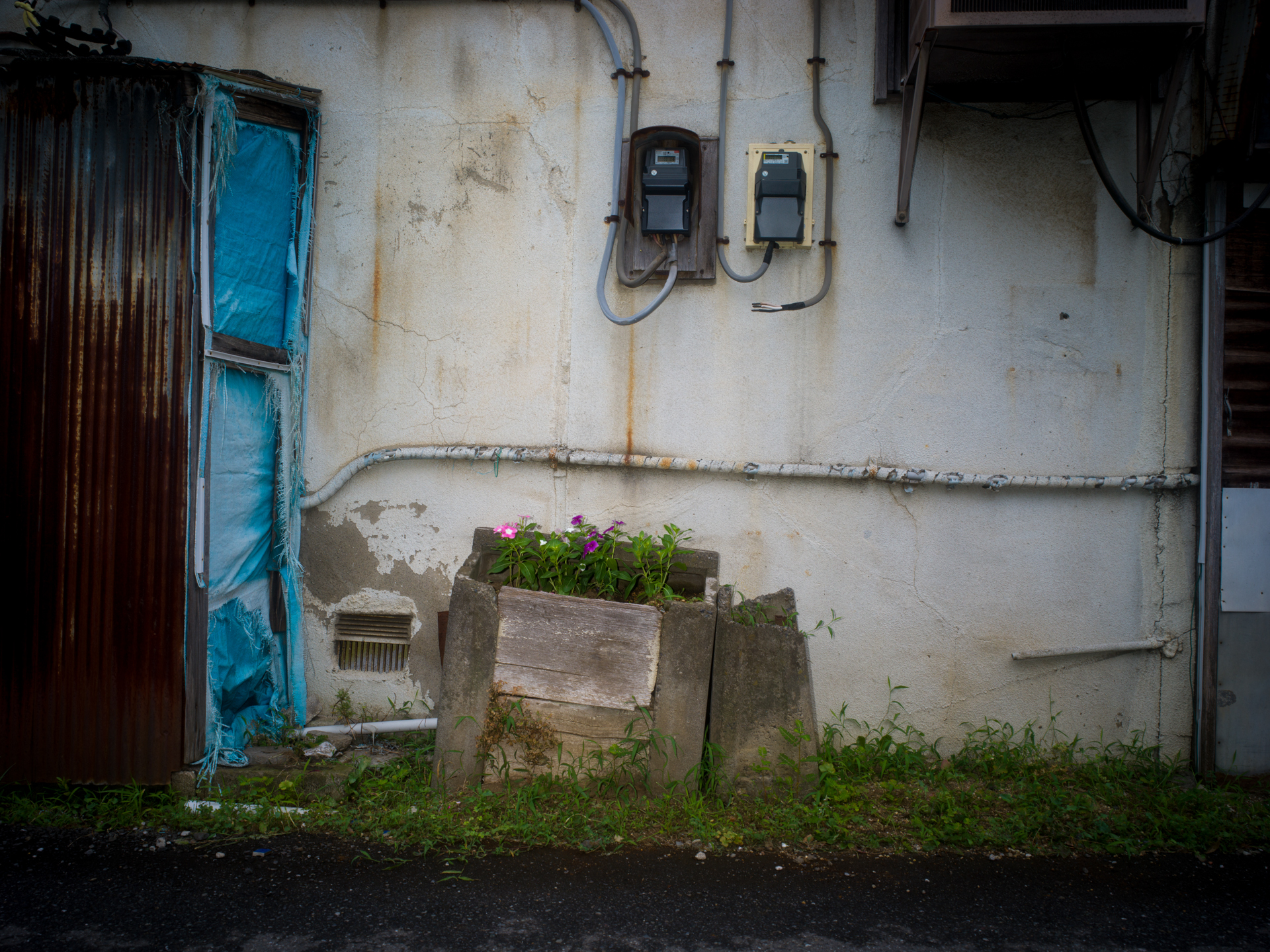 自宅から仕事場に向かう道にある古いゴミ箱。どなたか花を植えて楽しまれていますので、毎日前を通るだびにシャッターを押してしまいます。<br><span class="fnt-85">ハッセルブラッドSWC/M+CFV II 50C／ビオゴンT* 38mmF4.5／F11／1/125秒／ISO 400／AWB</span>
