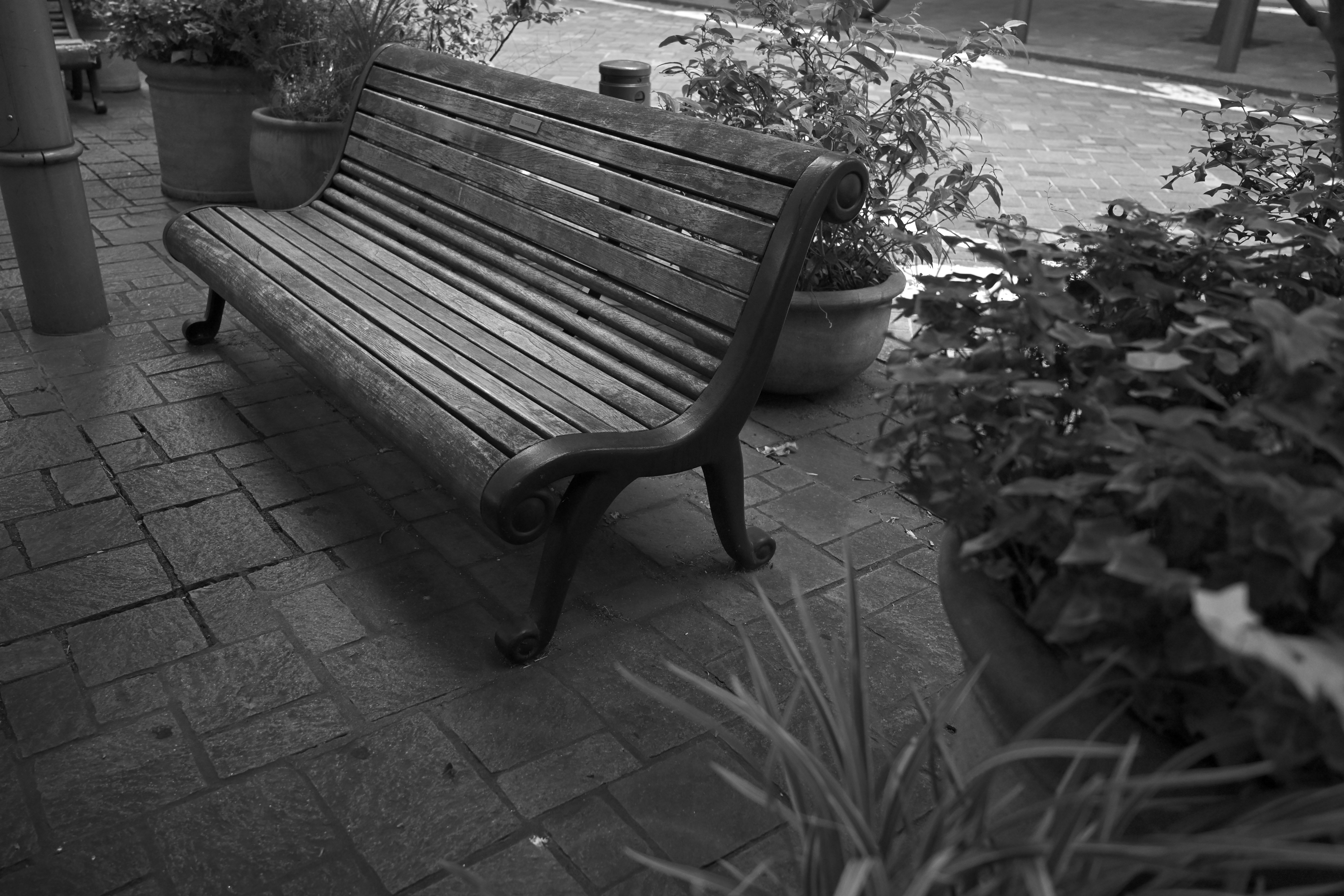 Z6III／NIKKOR Z 24-70mm f/4 S／30mm／絞り優先AE（1/50秒、F4.0、－0.3EV）／ISO 1600／WB：オート