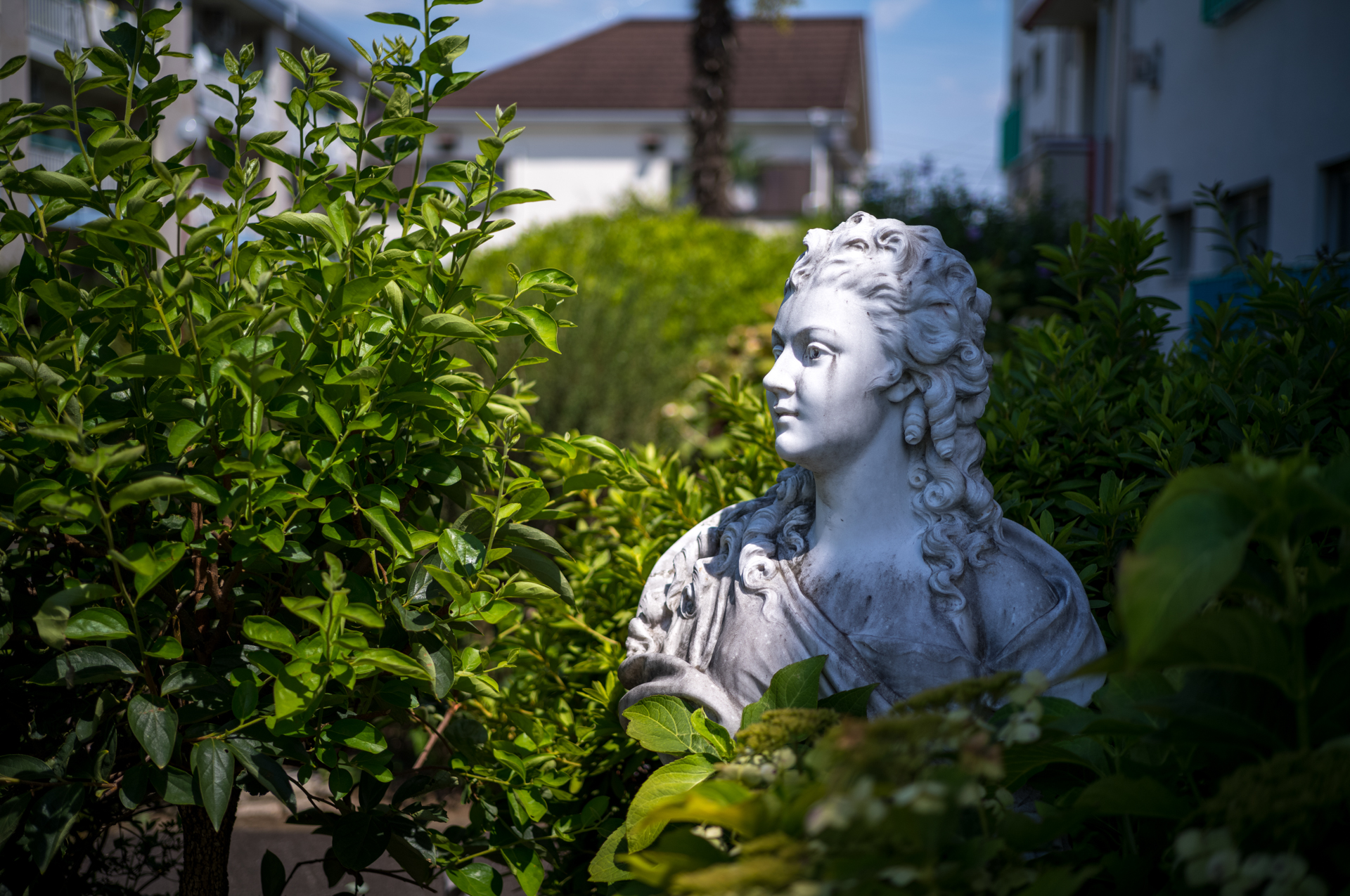ざわざわとした庭木を周囲に入れつつ、絞り開放で。筆者の見た目というか予想のつくボケの大きさです。<br><span class="fnt-85">ライカM11-P／COLOR-SKOPAR 50mm F2.2 VM／マニュアル露出（1/3,000秒、F2.2）／ISO 64</span>