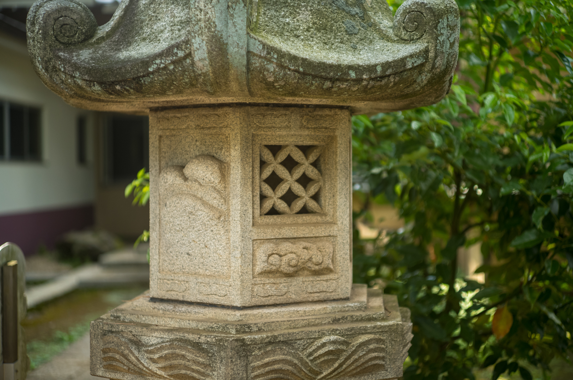 <span class="fnt-85">ライカM11-P／Canon 50mm F2.2／マニュアル露出（1/1,000秒、F2.2）／ISO 400／WB: 太陽光</span>