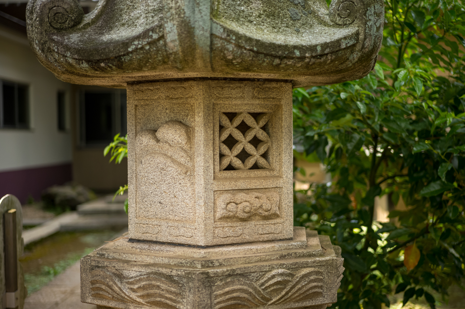 <span class="fnt-85">ライカM11-P／Canon 50mm F2.2／マニュアル露出（1/1,000秒、F2.2）／ISO 400／WB: 太陽光</span>