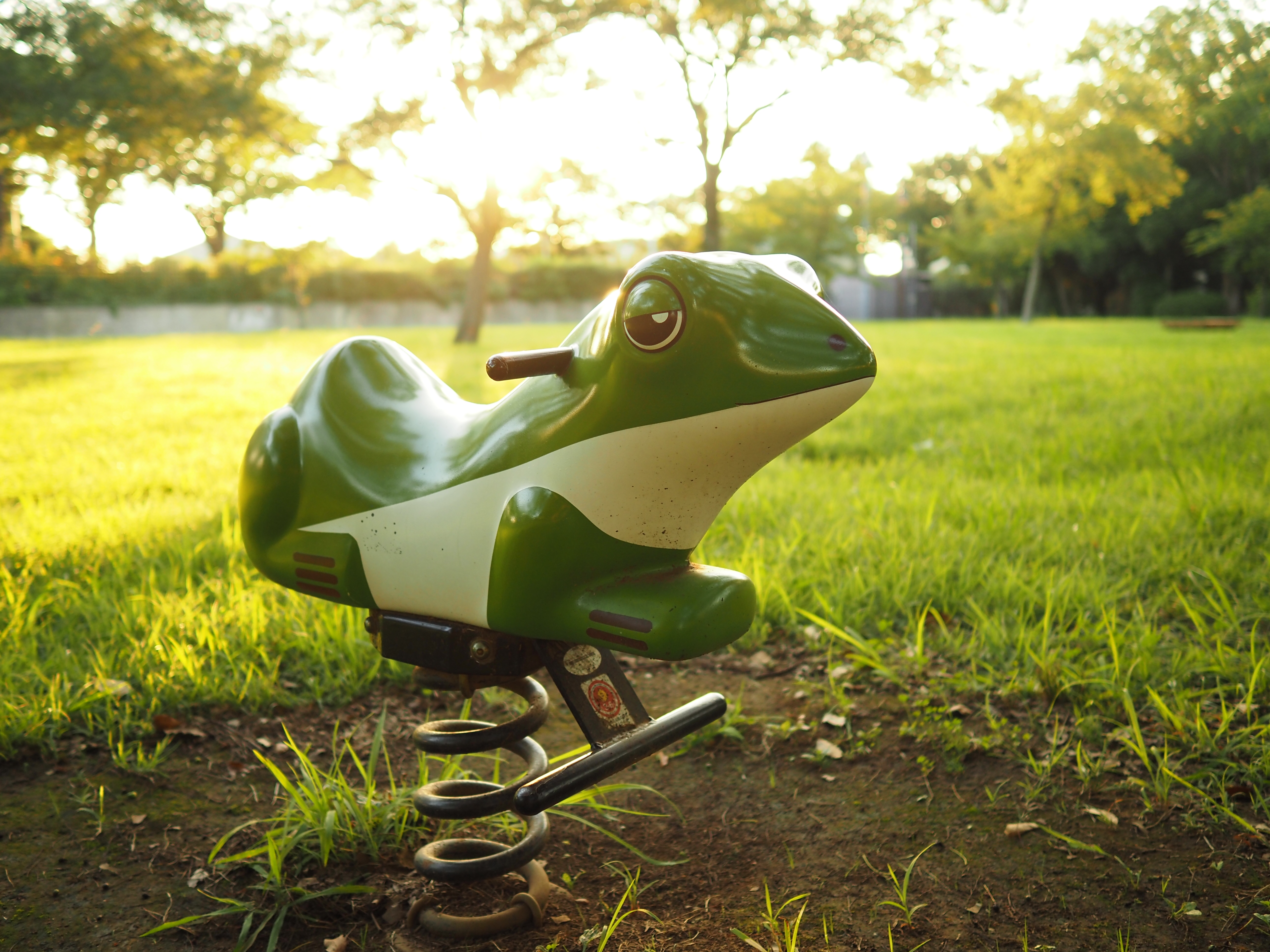 標準とも広角とも分類しにくい35mmレンズは「広い視野で見たときの自然な画角」と言えるかもしれません<br>OM SYSTEM OM-5／M.ZUIKO DIGITAL 17mm F1.8／絞り優先AE（1/400秒、F1.8、＋1.0EV）／ISO 400