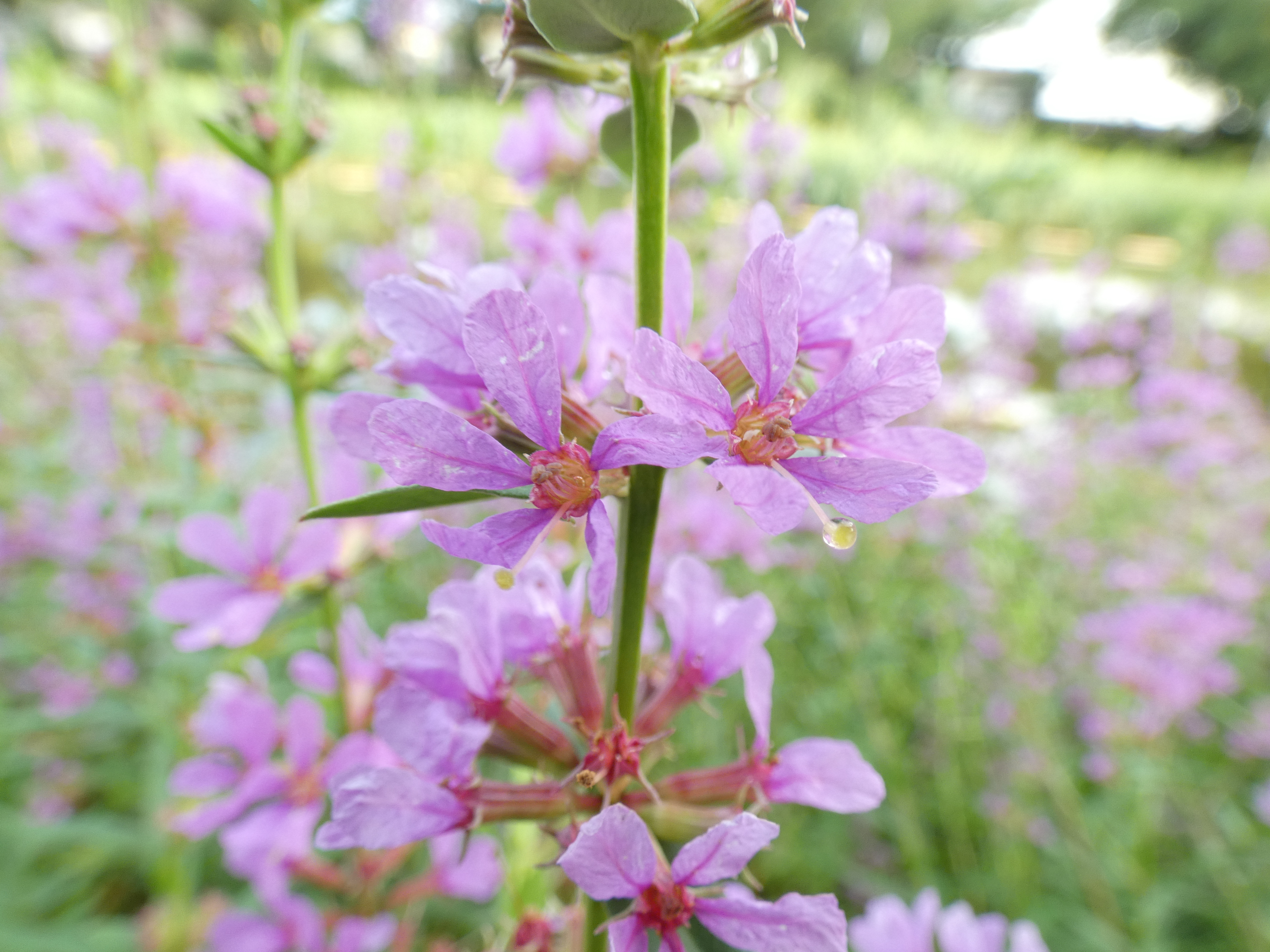 LUMIX FZ85D／3.58mm（20mm相当）／絞り優先AE（1/60秒・F6.5・＋1EV）／ISO 125