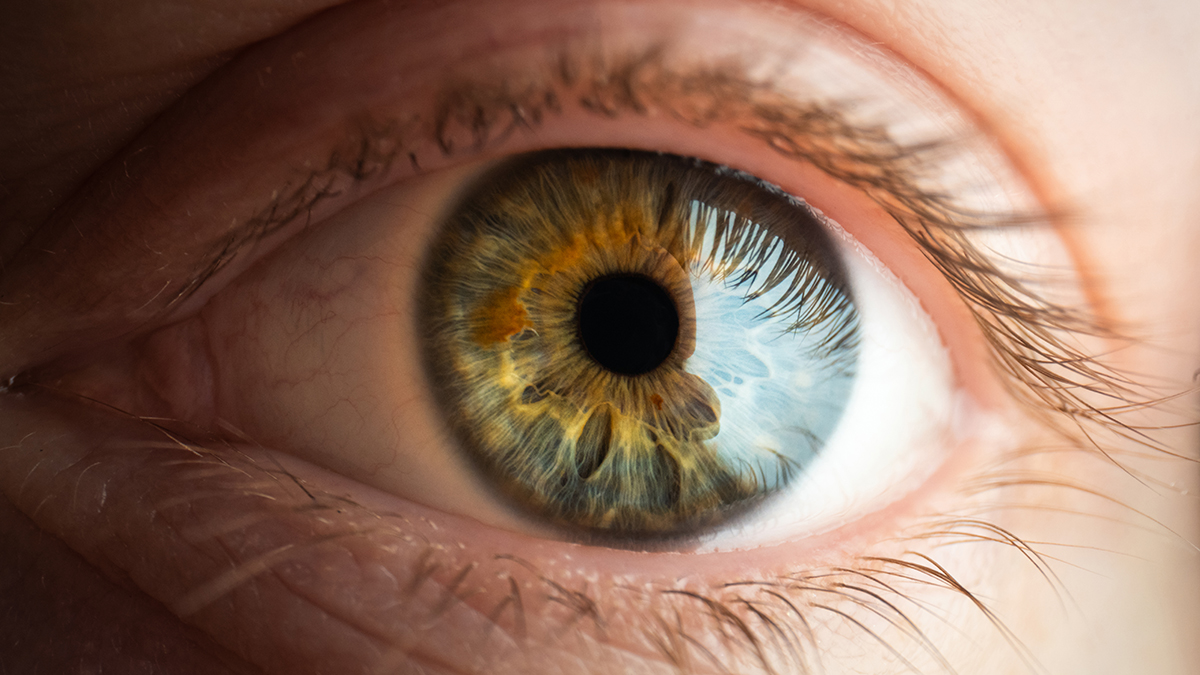 作例提供：E&Iクリエイション株式会社