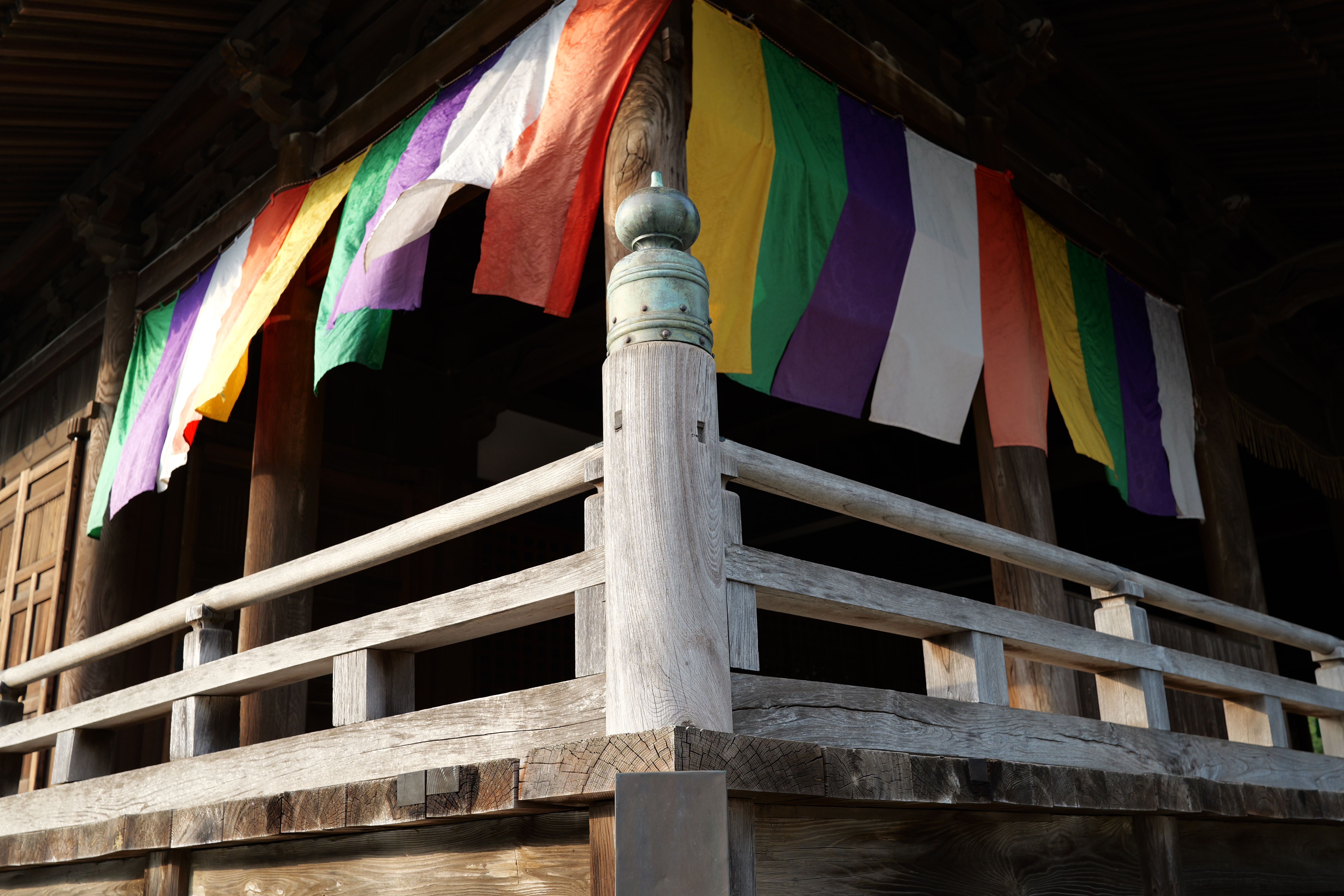 パナソニック LUMIX S9／LUMIX S 35mm F1.8／絞り優先（1/200秒、F5.6、−0.3EV）／ISO 400