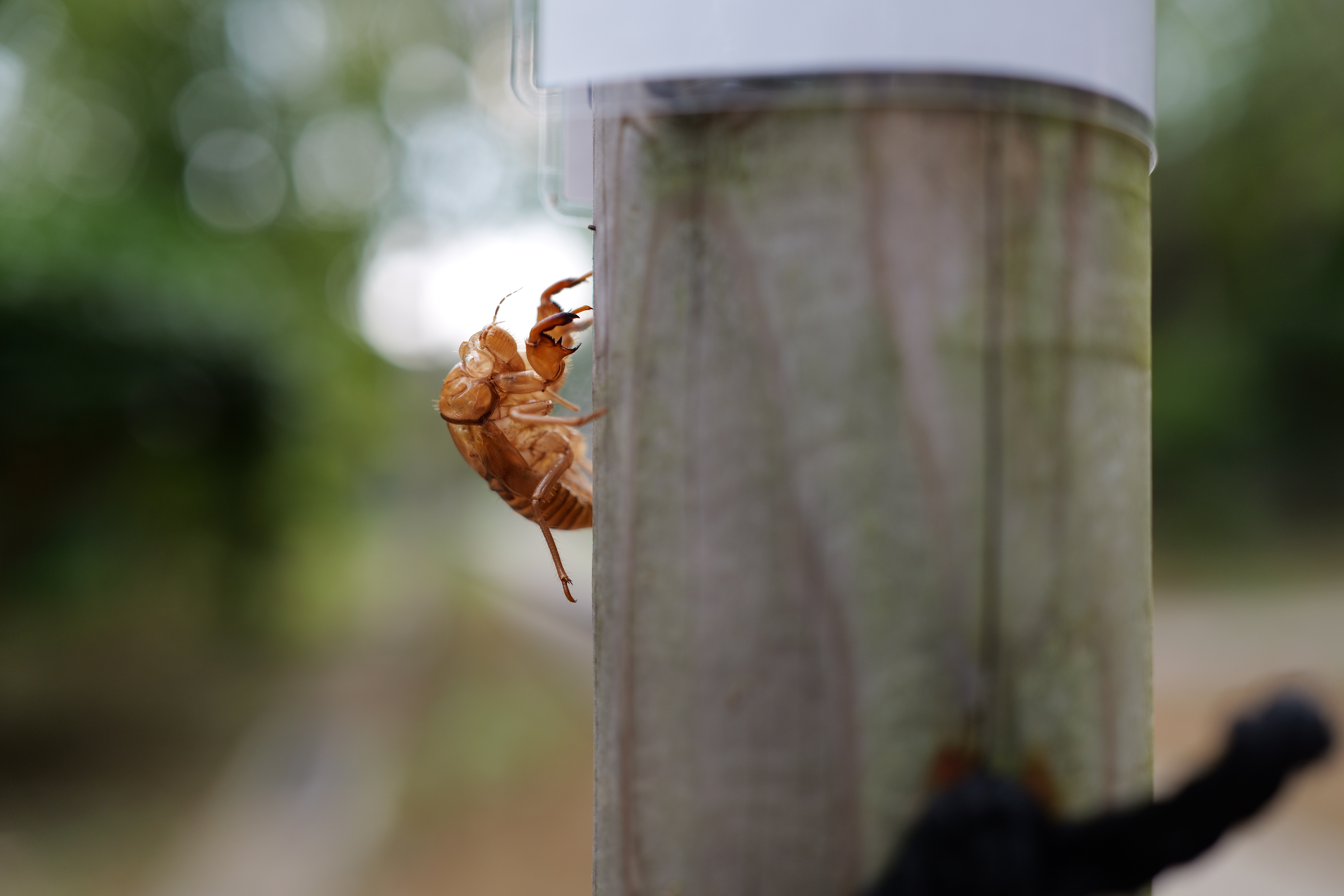 パナソニック LUMIX S9／LUMIX S 35mm F1.8／絞り優先（1/320秒、F2.8、−0.3EV）／ISO 400