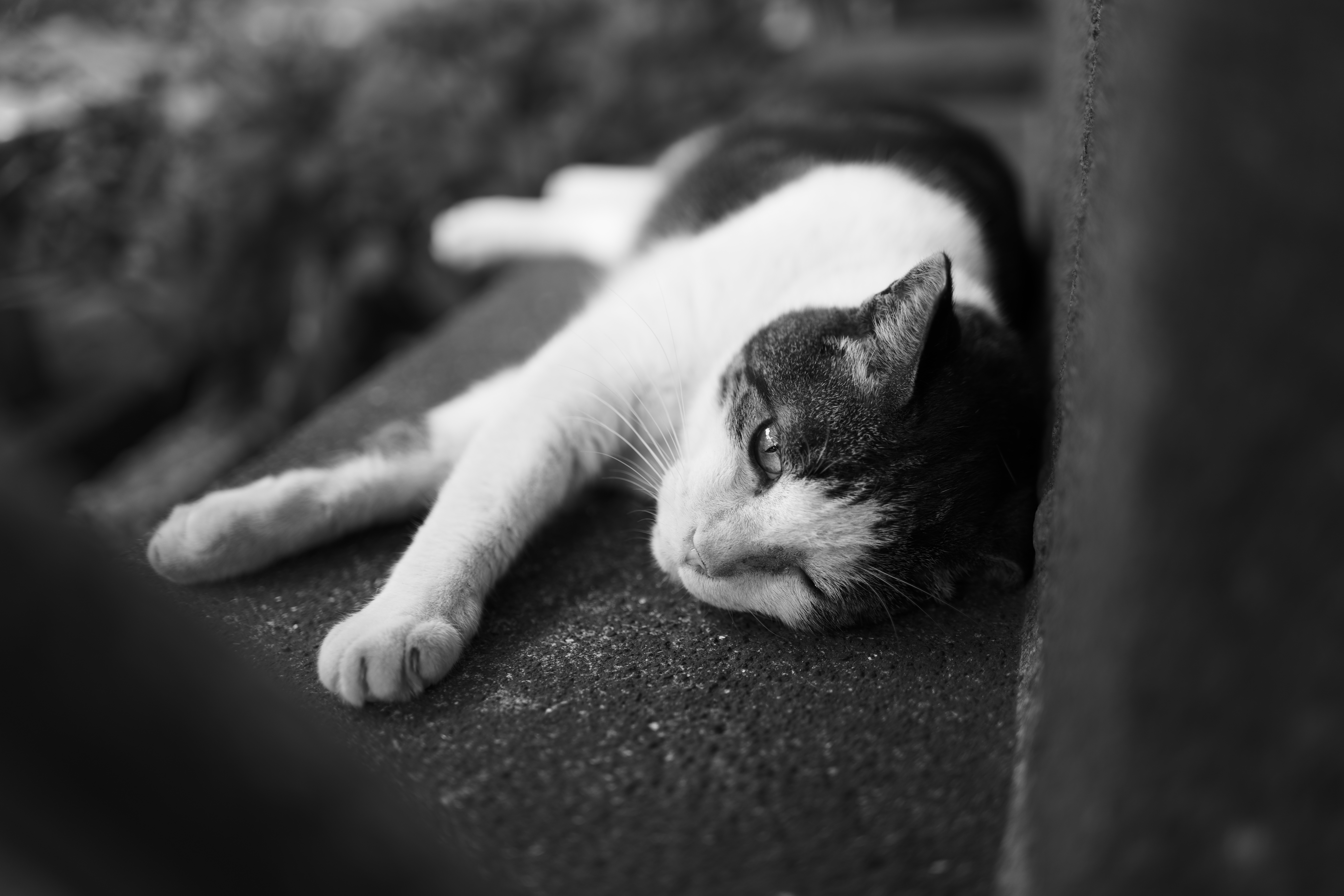 パナソニック LUMIX S9／LUMIX S 35mm F1.8／絞り優先（1/40秒、F1.8、±0.0EV）／ISO 100