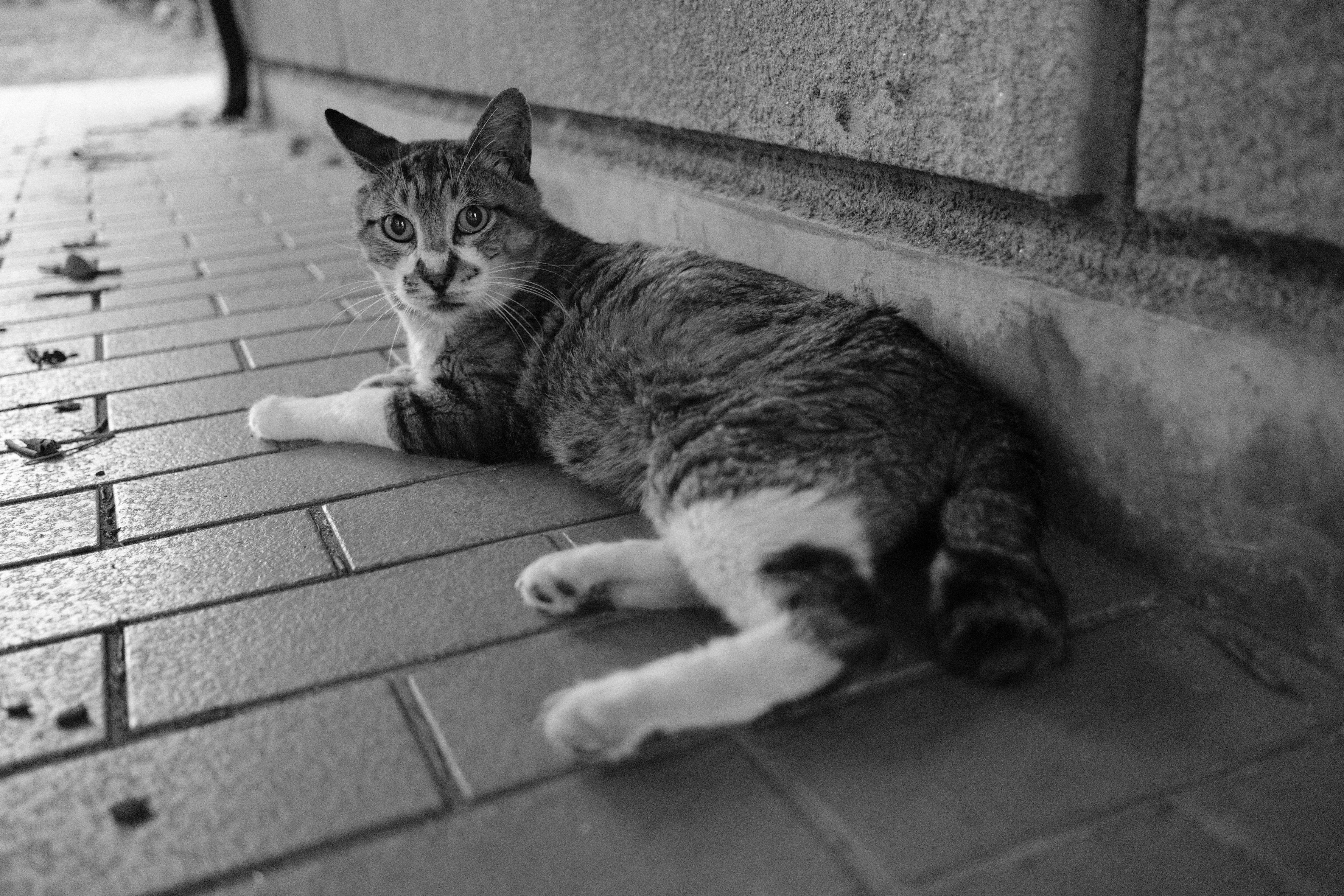 富士フイルム X-H2S／フジノンレンズ XF23mmF2 R WR／23mm（35mm相当）／絞り優先AE（1/20秒、F2.0、＋0.3EV）／ISO 3200