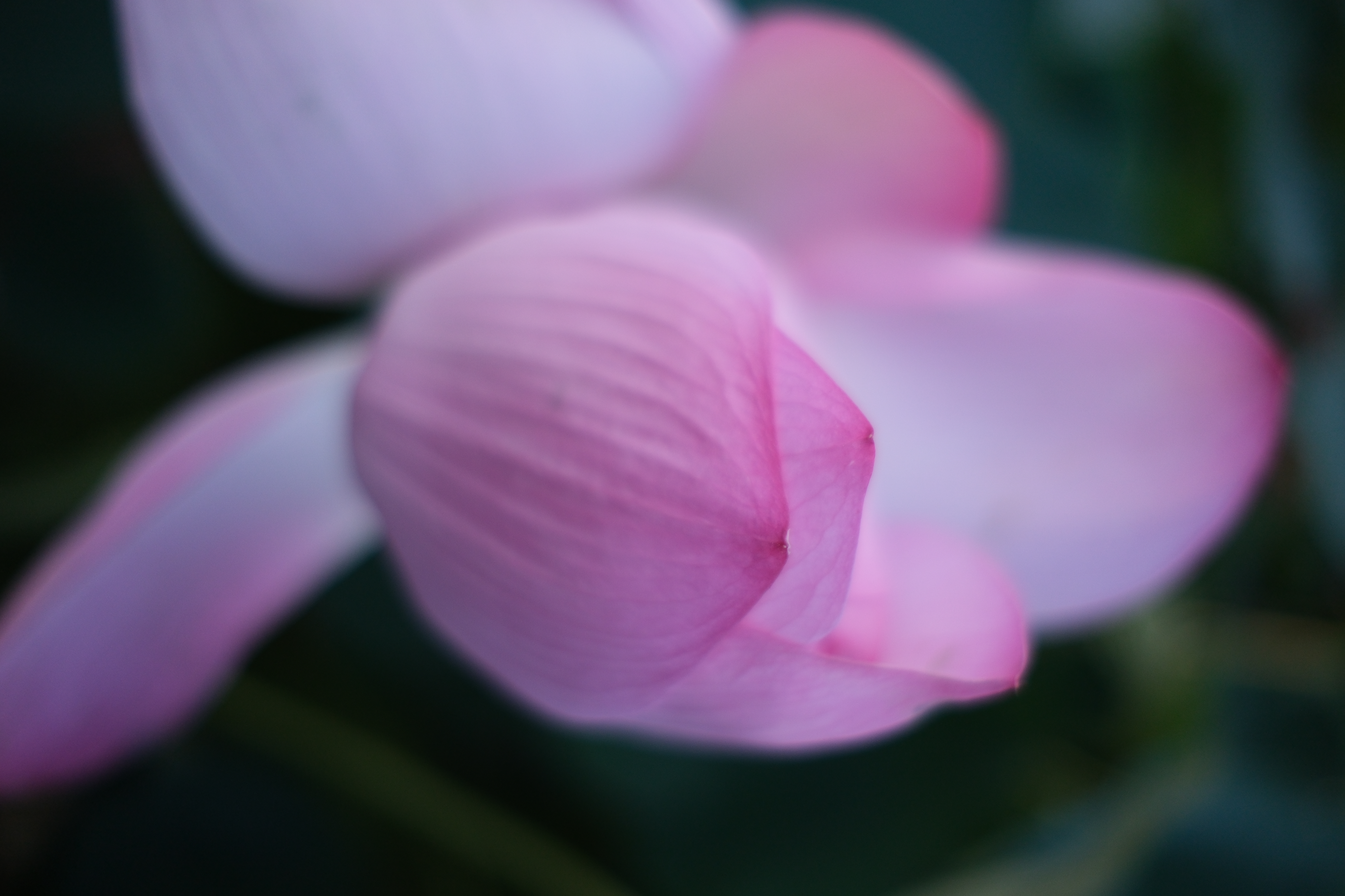 富士フイルム X-H2S／フジノンレンズ XF23mmF2 R WR／23mm（35mm相当）／絞り優先AE（1/400秒、F2.0、±0.0EV）／ISO 400