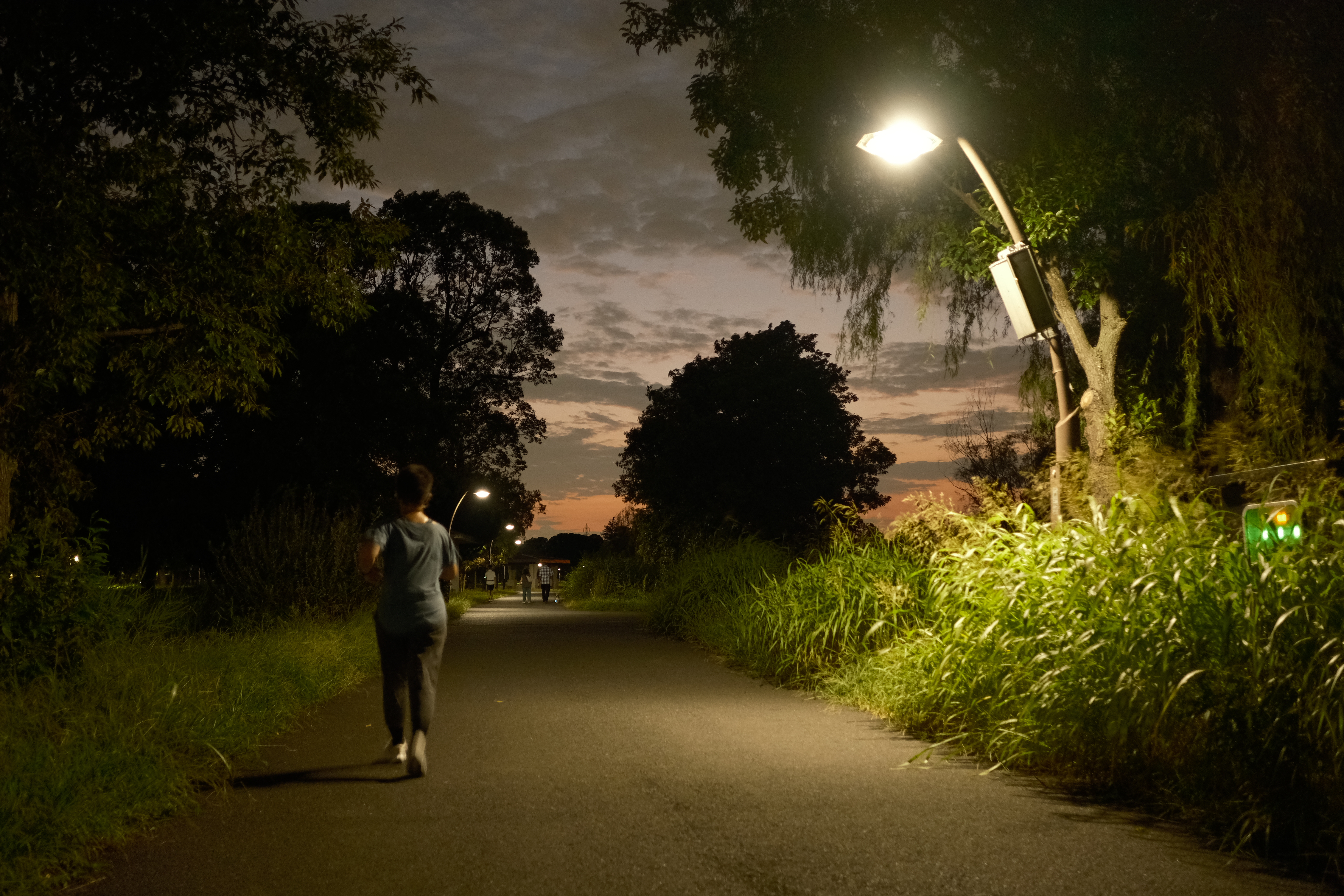 富士フイルム X-H2S／フジノンレンズ XF23mmF2 R WR／23mm（35mm相当）／絞り優先AE（1/10秒、F2.0、−0.3EV）／ISO 1600