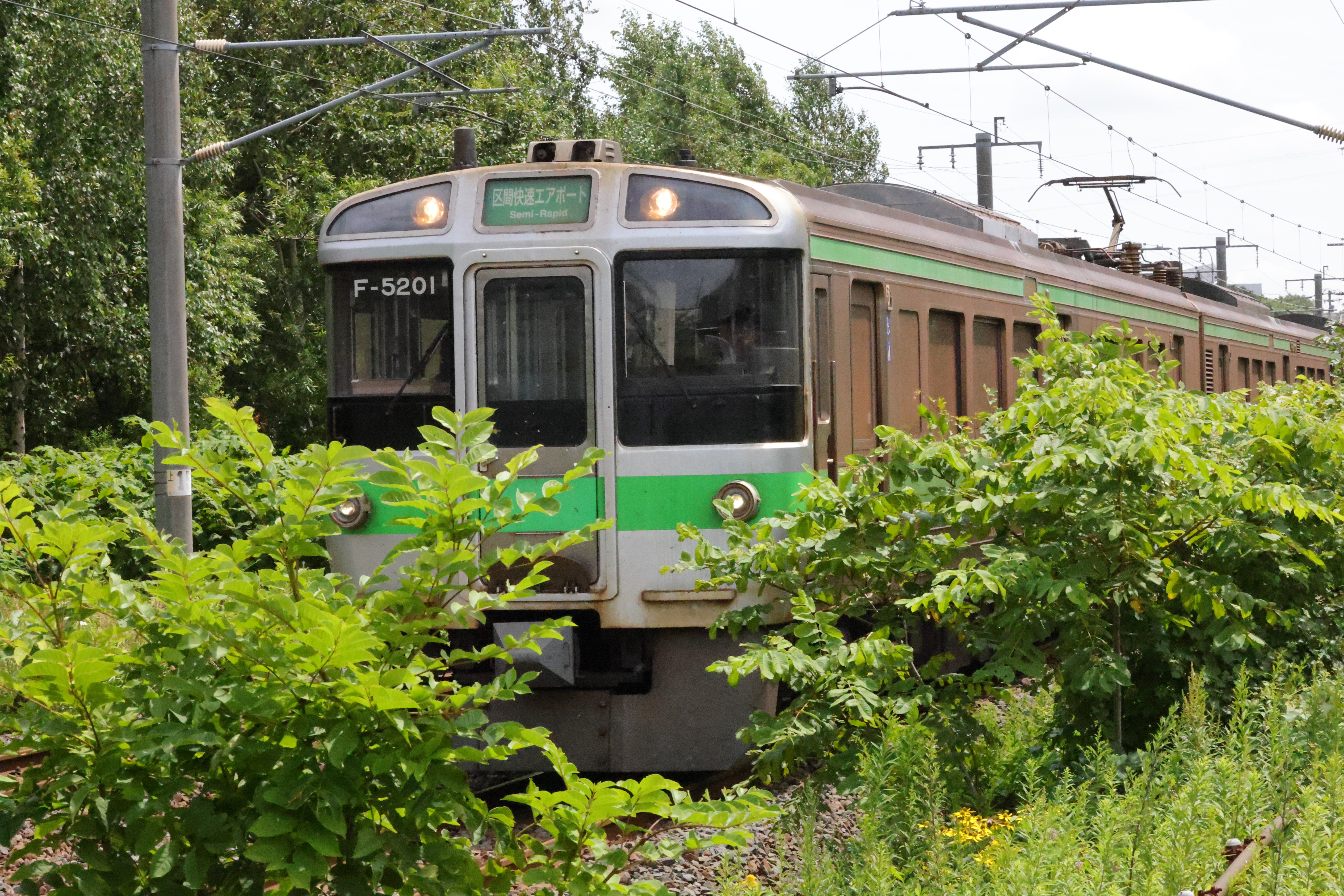 誤ってISO 20000、F29というメチャクチャな設定で撮ってしまった写真だが、黙っていればバレないくらいの基礎能力がある。デジタルレンズオプティマイザも自動でかかるため小絞りボケも低減できる