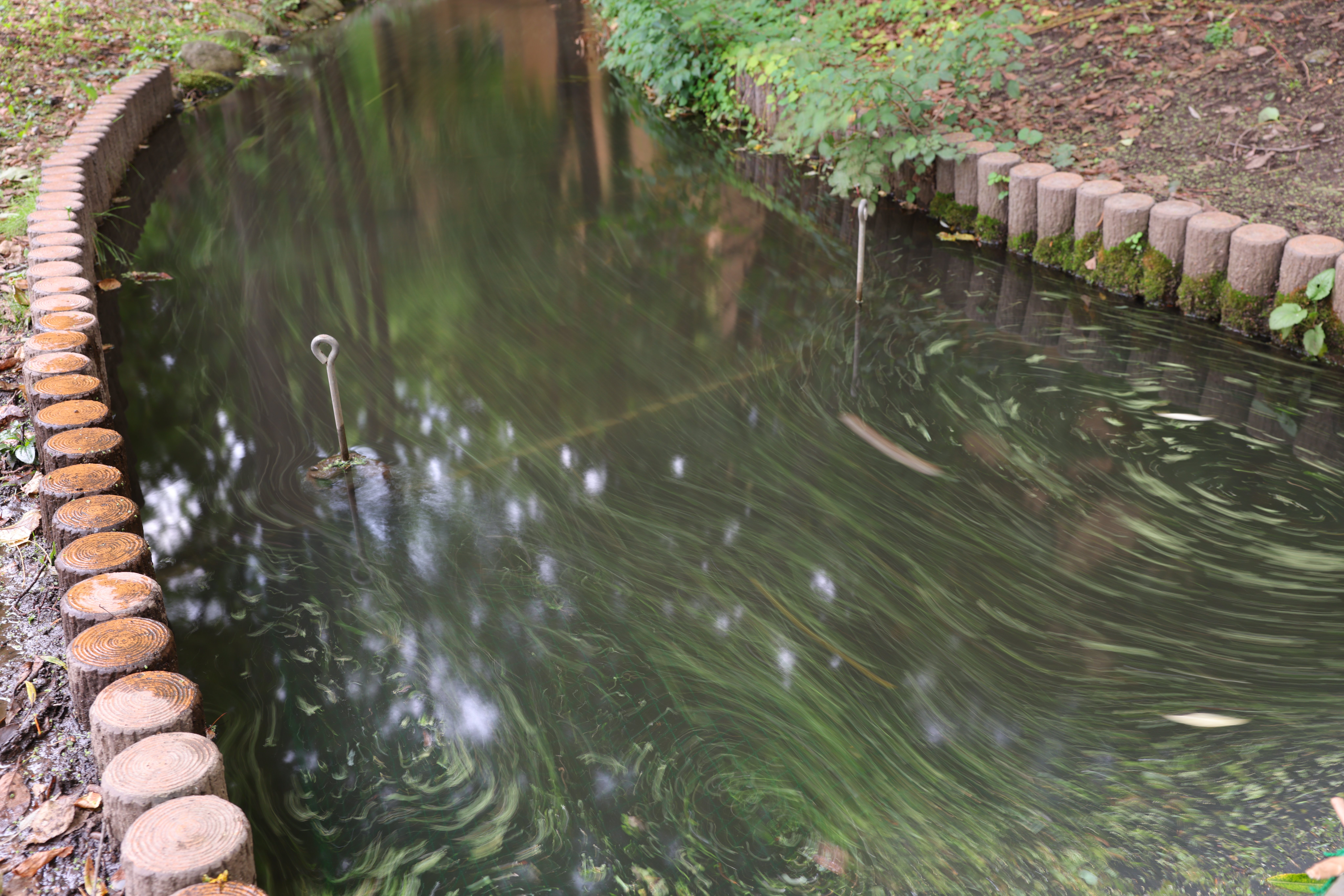 芝の刈りカスが流れていたキレイとは言えない水路もスローシャッターなら面白い表情になる。手持ち3.2秒で撮影した。長秒時の周辺部は多少乱れやすくなるが、広角側3秒前後なら手持ち撮影可能圏内だ