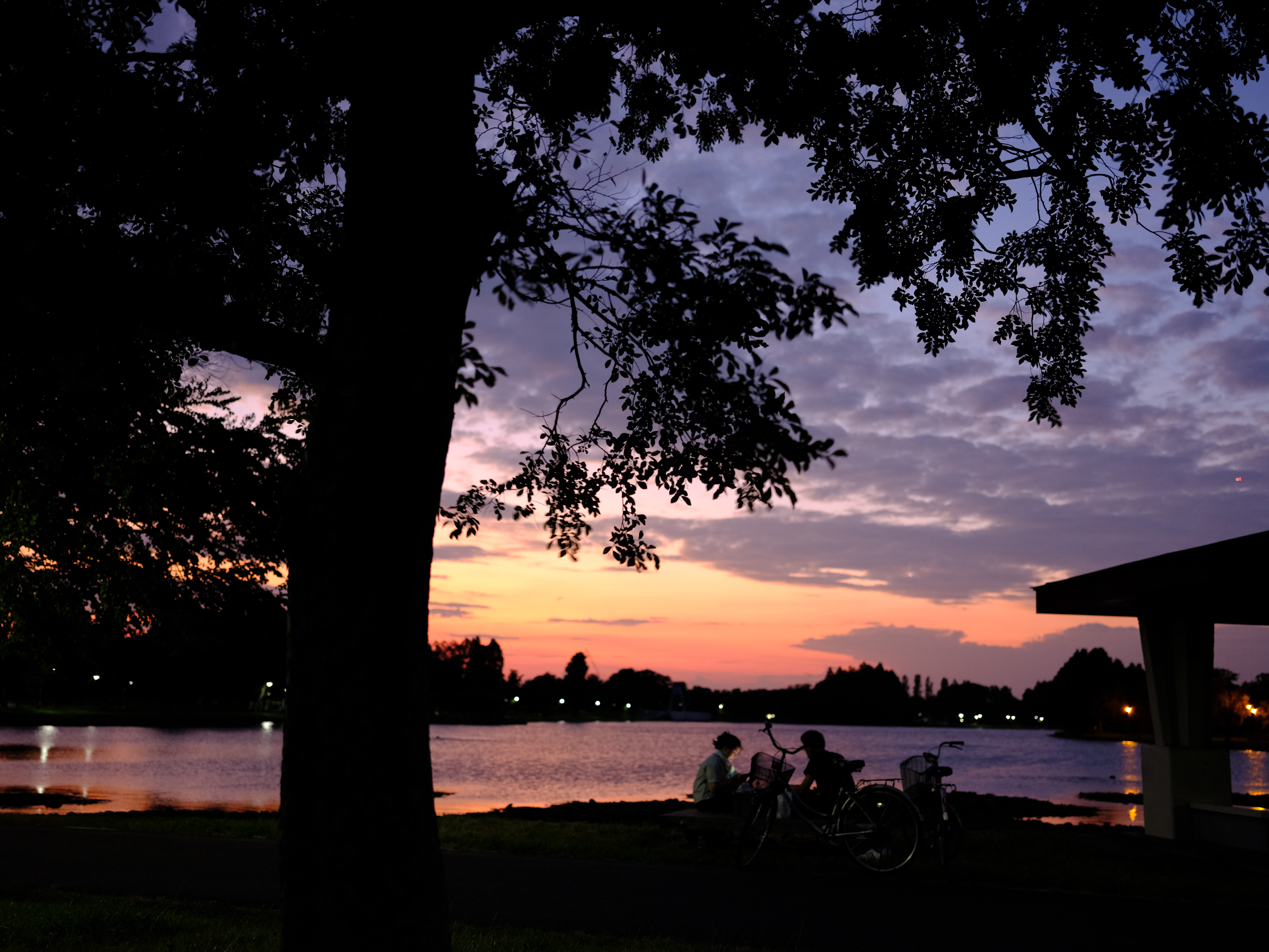 富士フイルム GFX50S II／GF45mmF2.8 R WR／45mm（36mm相当）／絞り優先AE（1/20秒、F2.8、−0.3EV）／ISO 1600