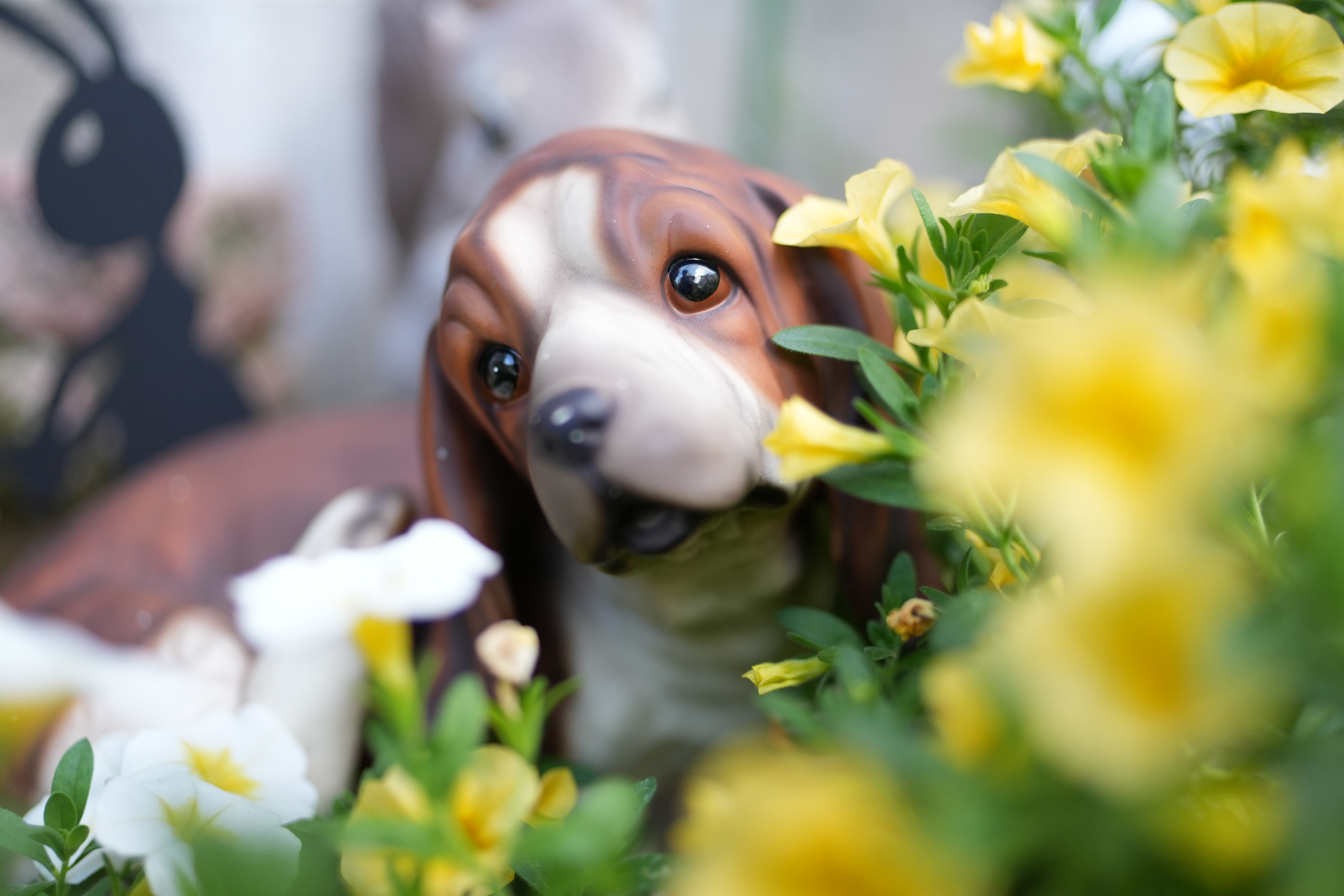 ソニー α6700／SIGMA 23mm F1.4 DC DN｜Contemporary／23mm（34mm相当）／絞り優先AE（1/500秒、F1.4、＋1.0EV）／ISO 400