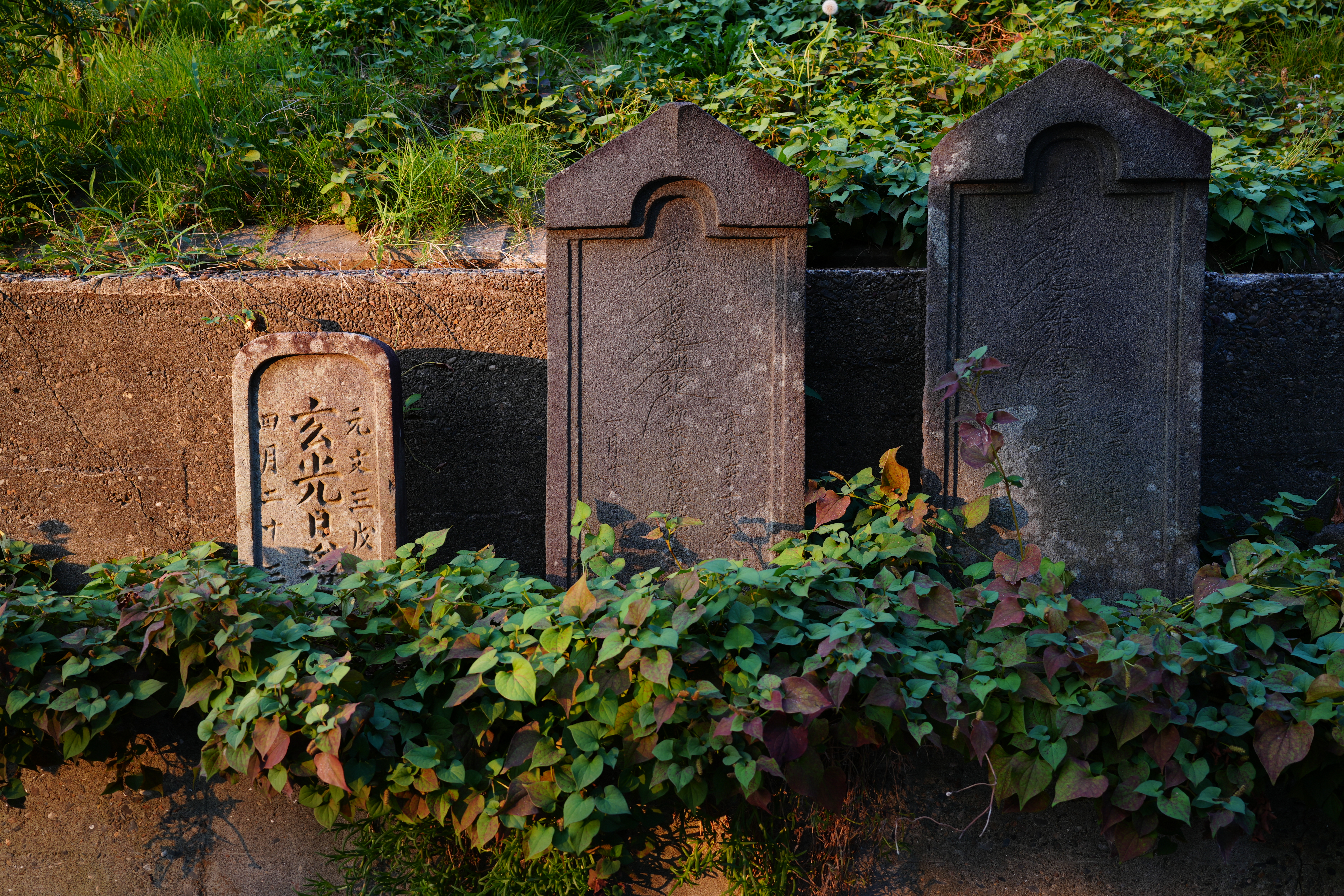 ソニー α7C II／35mm F2 DG DN｜Contemporary／絞り優先AE（1/20秒、F5.6、−0.7EV）／ISO 100