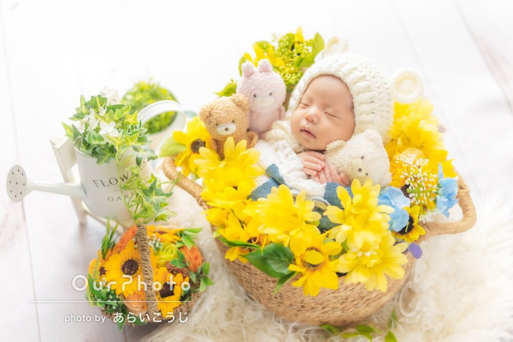 あらいこうじ氏による今回の出張撮影でのニューボーンフォト作品