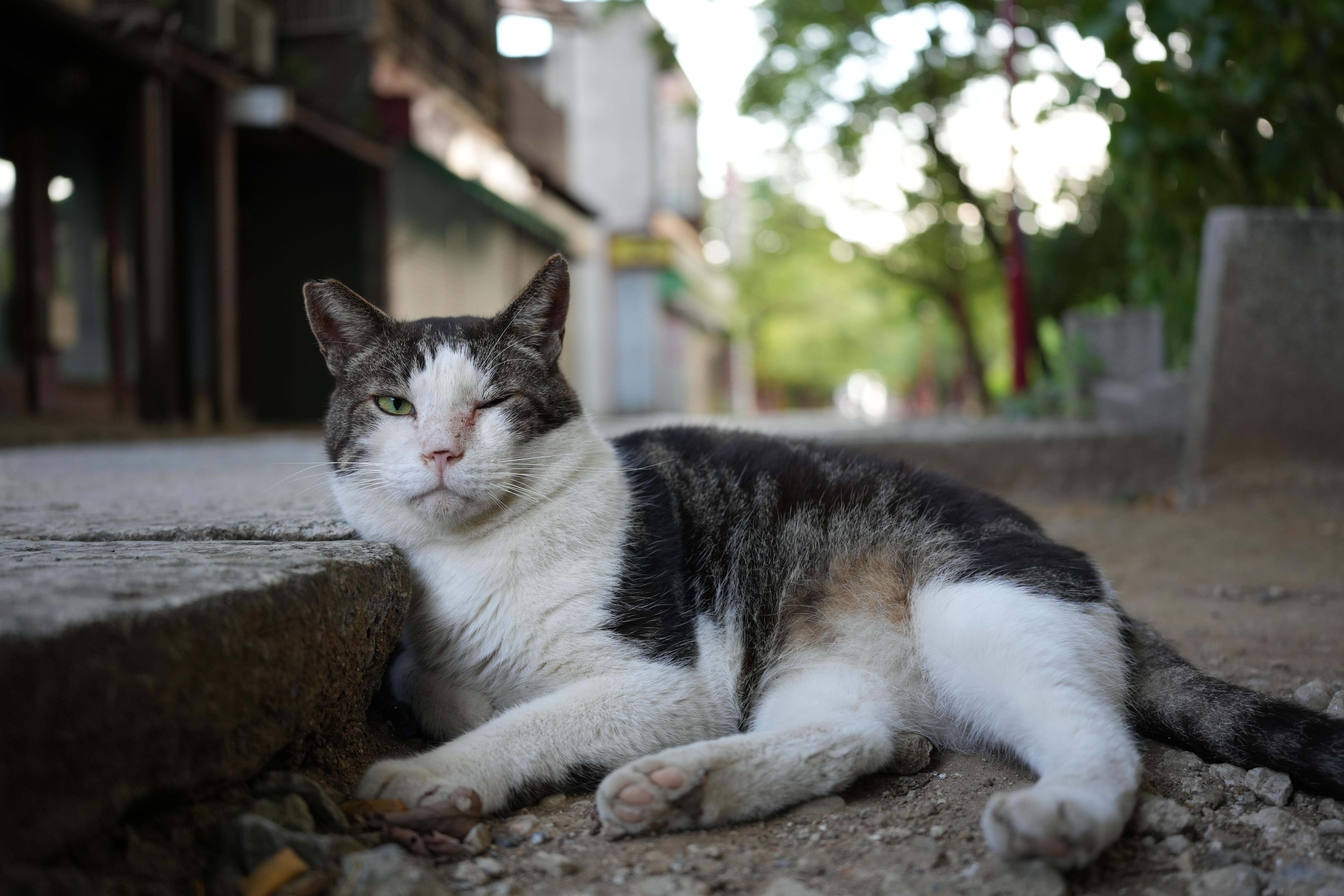 ソニー α7C II／35mm F/2.8 Di III／絞り優先AE（1/80秒、F2.8、＋0.3EV）／ISO 800