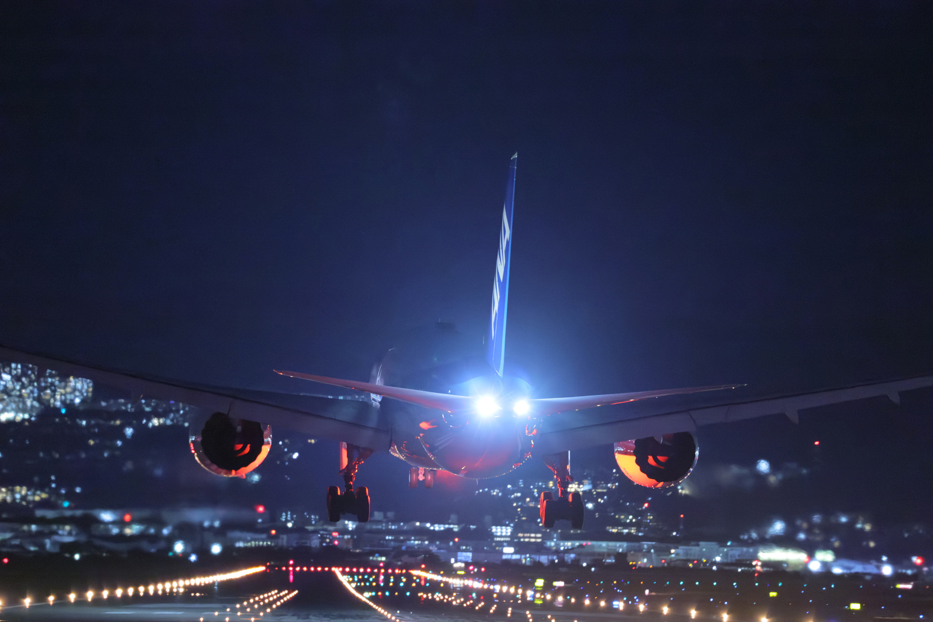 高画素機は高感度に弱いと思っていたので、恐る恐るISO 25600を試したが問題なし。「ニューラルネットワークノイズ低減」をかけるとさらにノイズがなくなった<br><span class="fnt-85">キヤノン EOS R5 Mark II／RF100-300mm F2.8 L IS USM／300mm／マニュアル露出（F2.8、1/60秒）／ISO 25600／WB：2,700K／ニューラルネットワークノイズ低減（標準）</span>