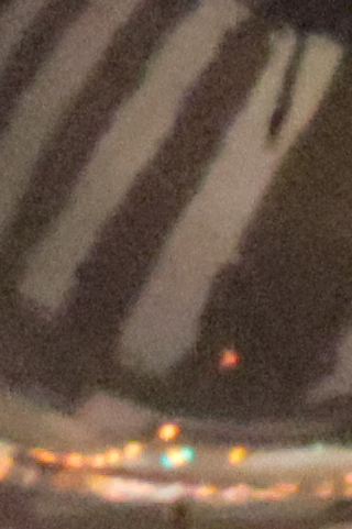 薄暮の時間、ISO 25600に上げて着陸する機体を軽く縦に流すように追いかける。肉眼では写真よりもかなり暗いが、ニューラルネットワークノイズ低減を使うと、上の比較例のようにノイズが大幅に低減されて、機体後部に反射する滑走路のラインまで細かく写し出してくれた