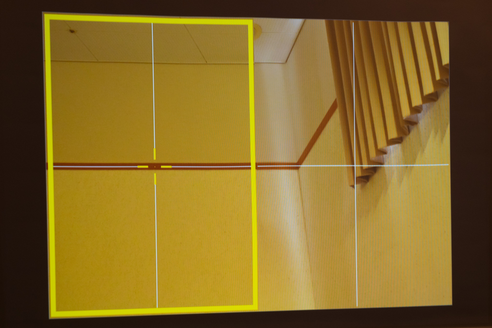 2点拡大のライブビュー画面