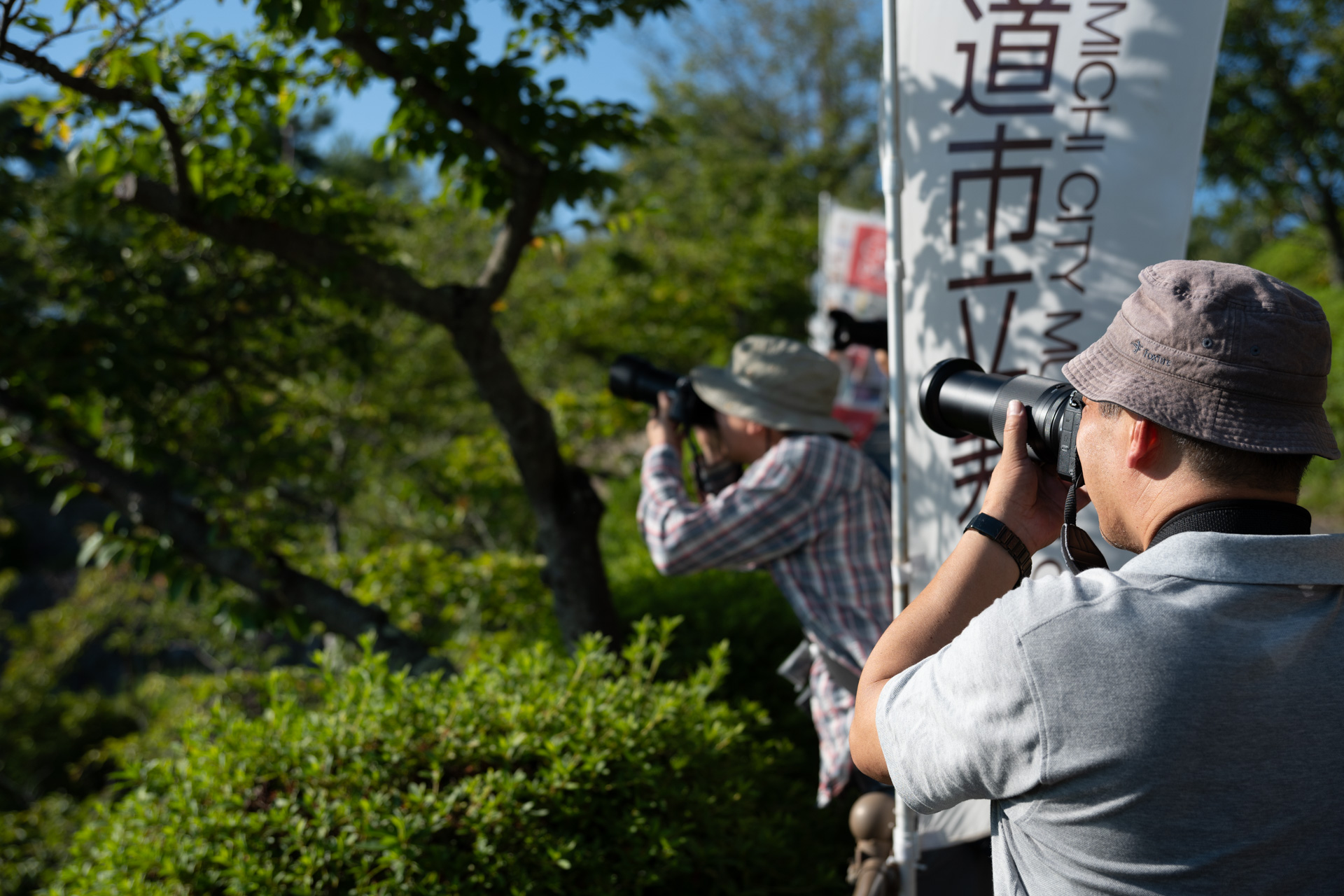 下山中にセミを発見！