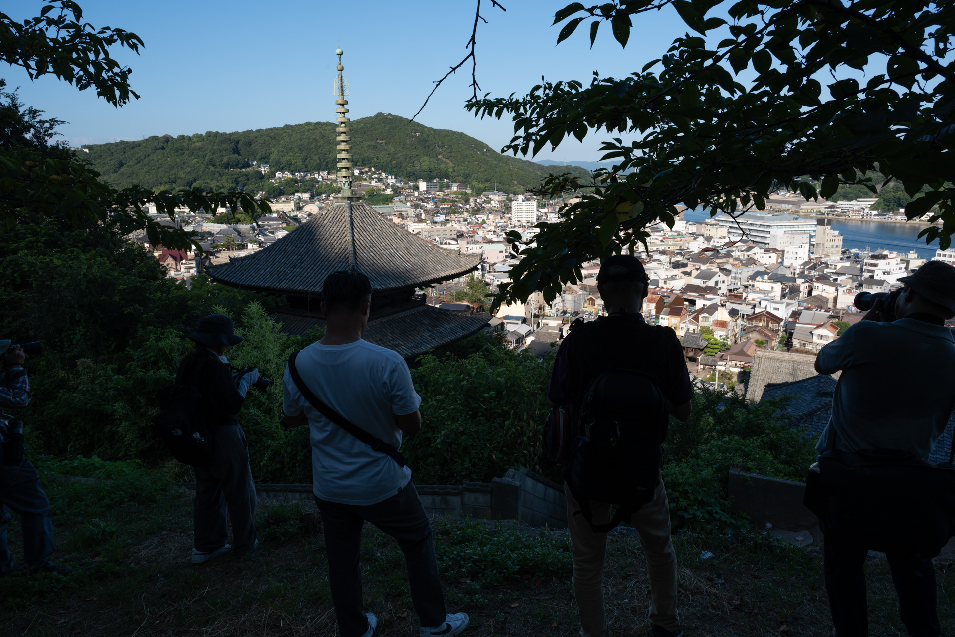 三重塔は手前が影になるので輝度差が大きく、工夫が必要