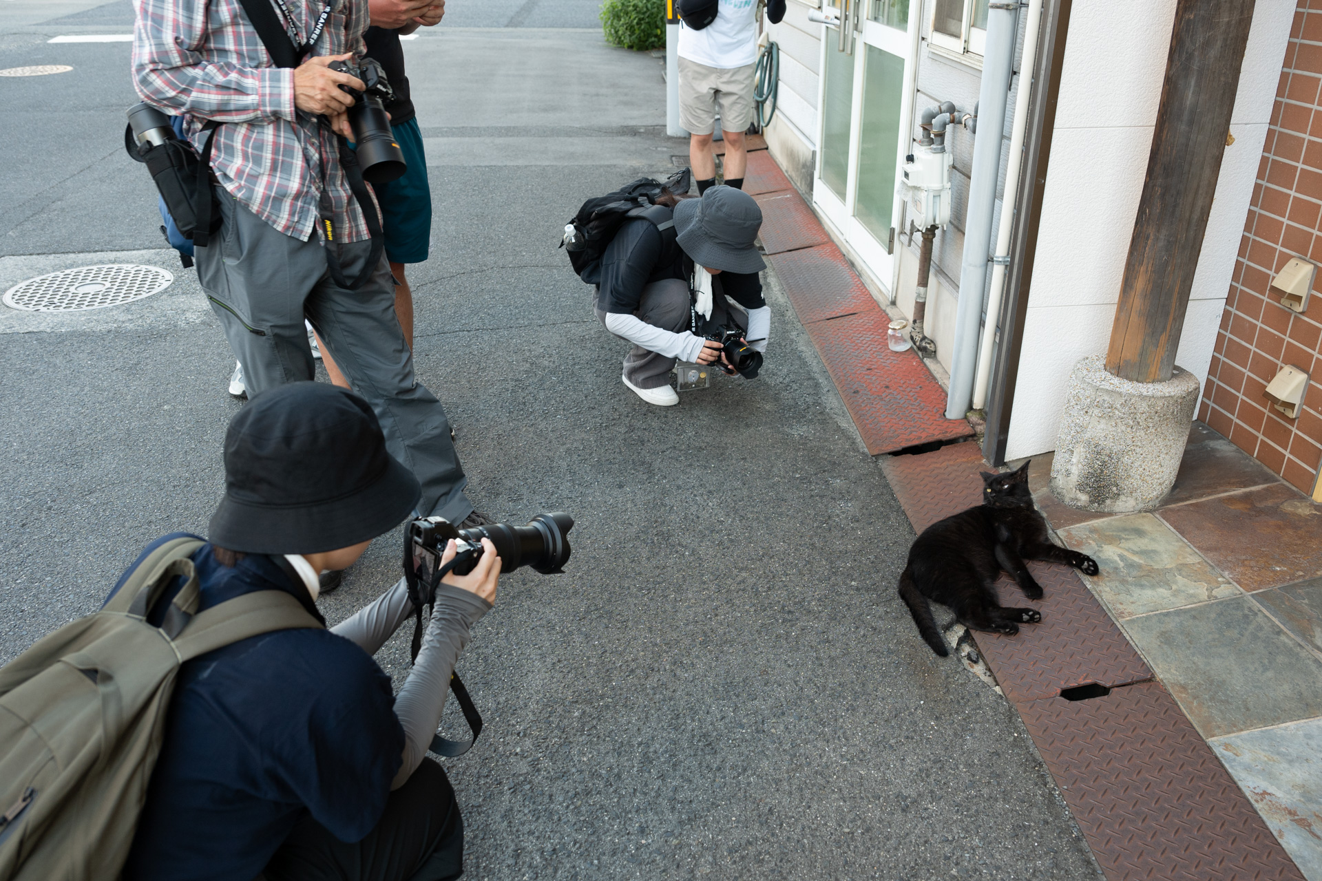 日中は猫の姿は少なかったが、宿泊したホテルの近くに黒猫がいた