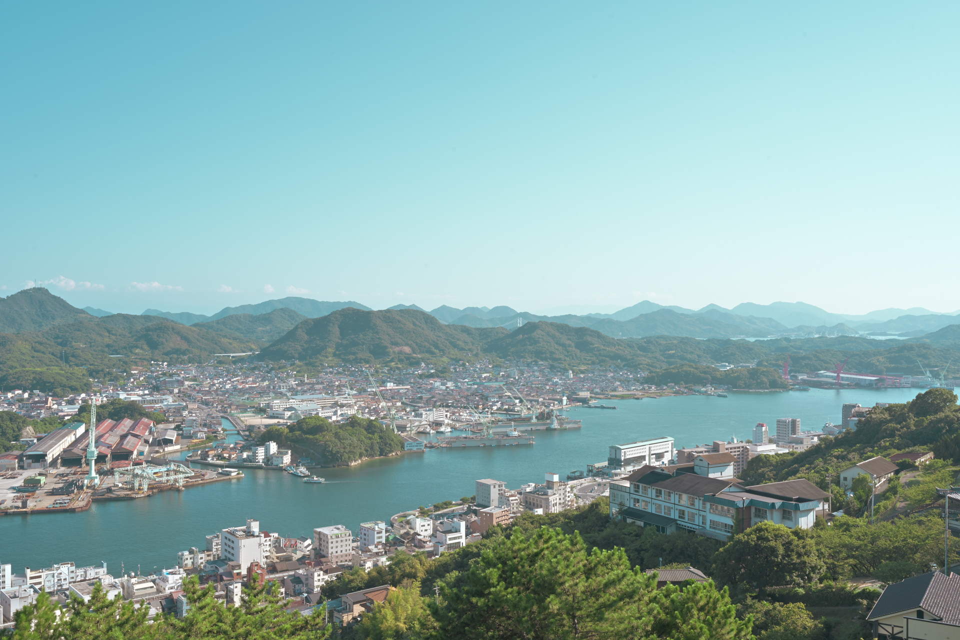 梓さんの作品〈<a href="https://ganref.jp/m/a_to_z_m/reviews_and_diaries">梓さんのレビュー・撮影記</a>〉