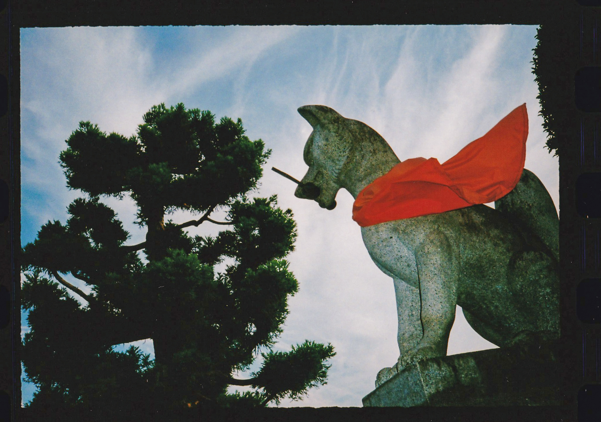 強制発光モードに合わせて日中シンクロしてみました。距離情報は露出に加味はされるのかは不明です。少しアンダーですが、よいバランスです。<br><span class="fnt-85">PENTAX 17／プログラムAE／ゾーンフォーカス1.7m／FUJIFILM400</span>