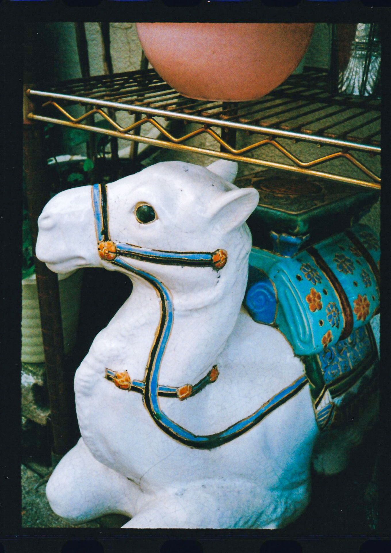 路地の日陰にいたラクダ。なかなかの描写です。しゃがむのが面倒なので、ノーファインダーで適当に撮影したのですが、当たりました。<br><span class="fnt-85">PENTAX 17／プログラムAE／ゾーンフォーカス0.5m／コダックエクター100</span>