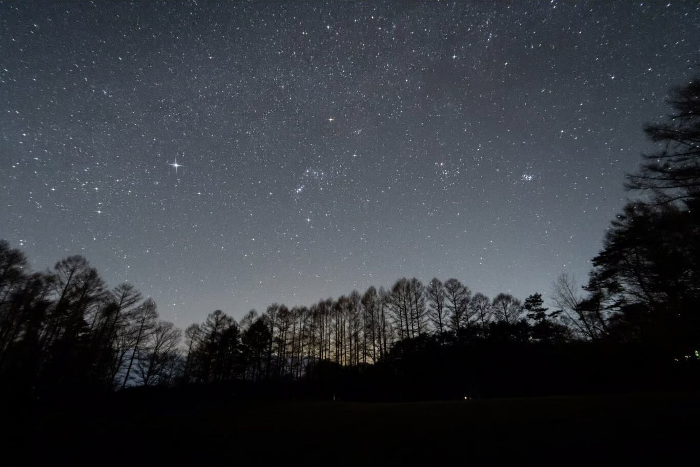 メーカー提供の使用例（強い点光源であれば、星空にも有効）