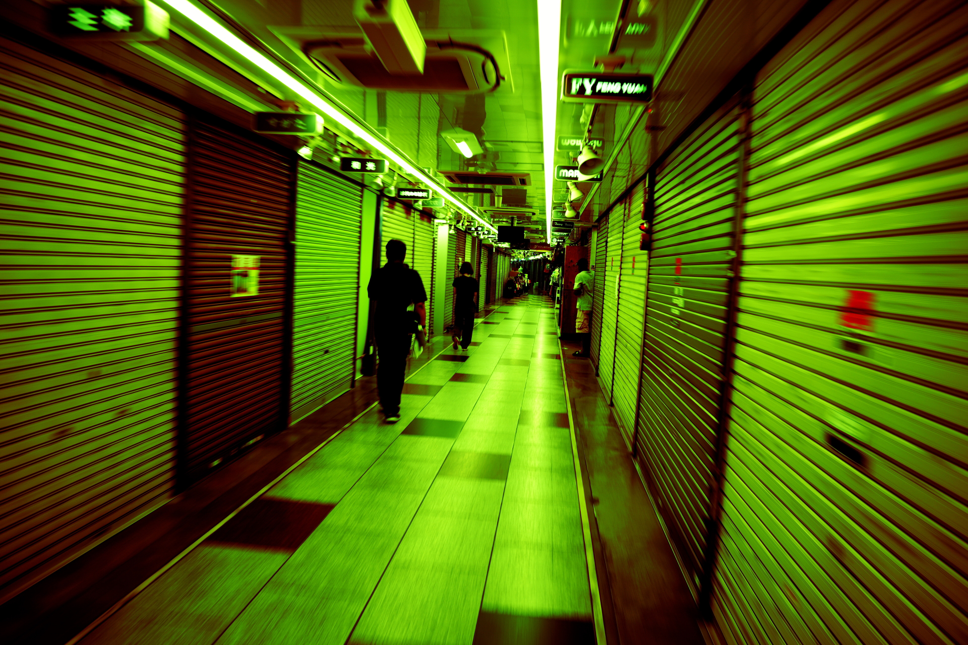 こちらは冒頭の作例と同じLUT。蛍光灯の影響でより緑が強調されて異世界感が出た