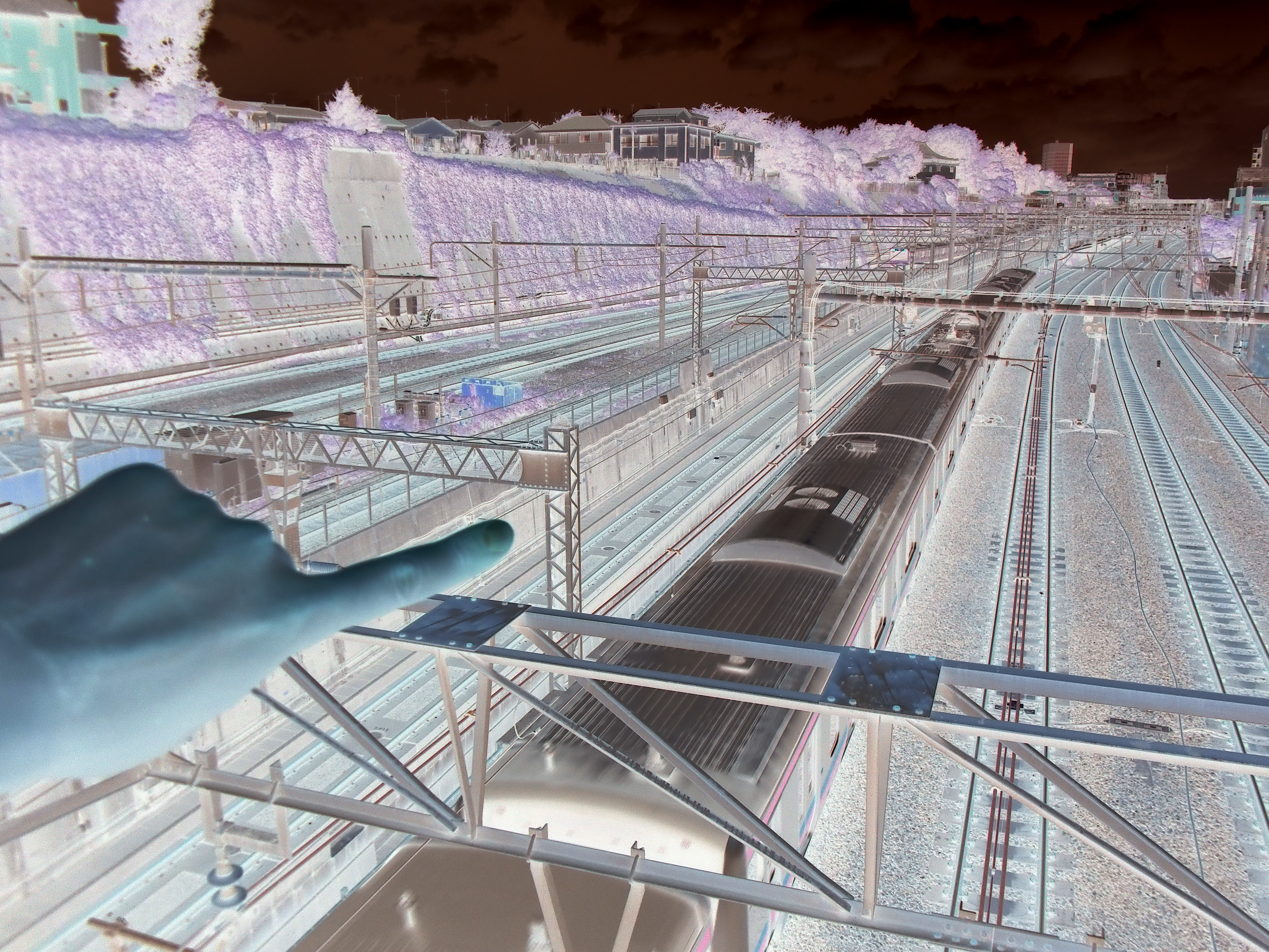 同じ場所を「ネガ」で撮影。変化を見るために自分の手を入れこんでみた