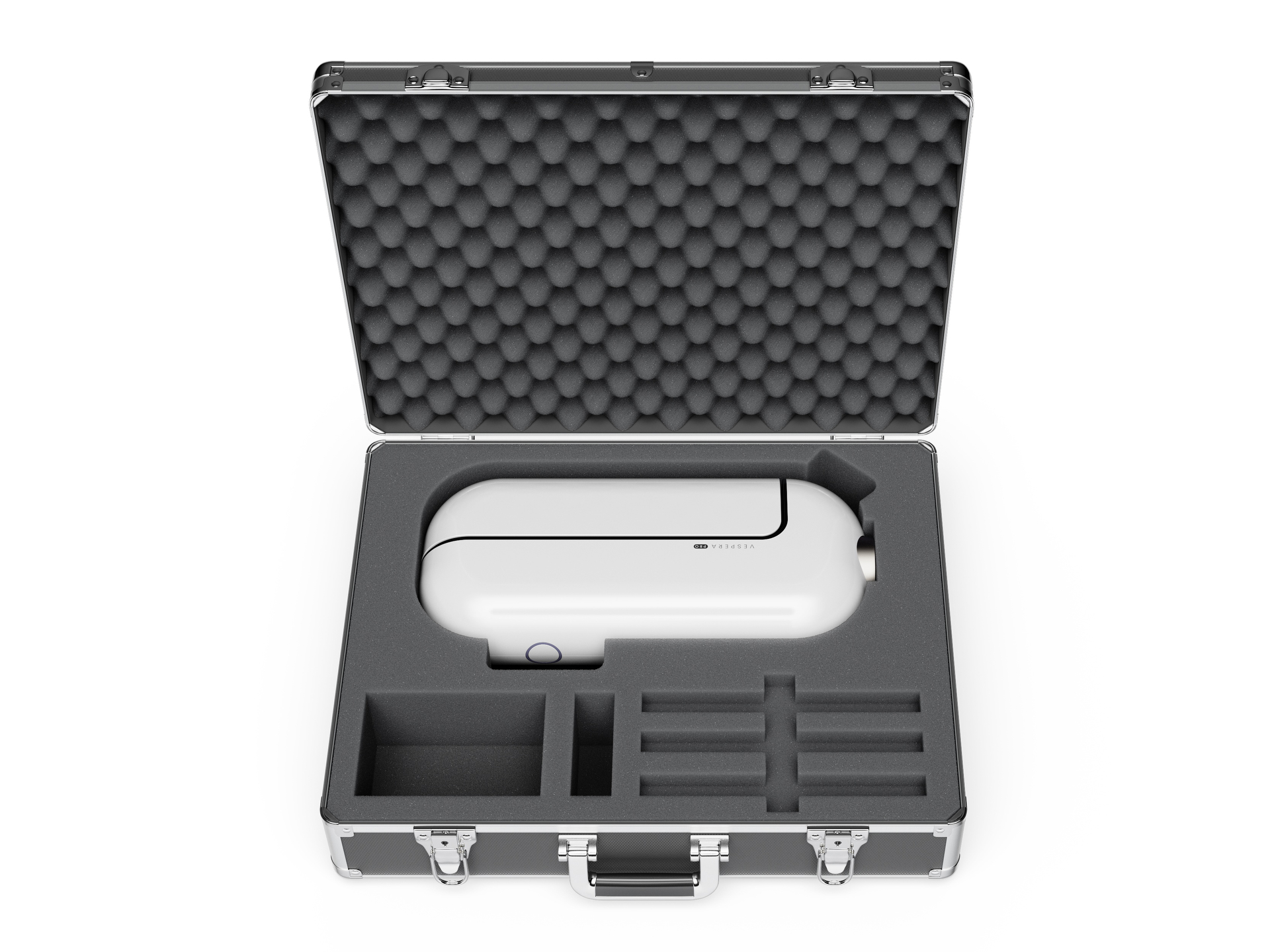 専用のハードケースが付属する