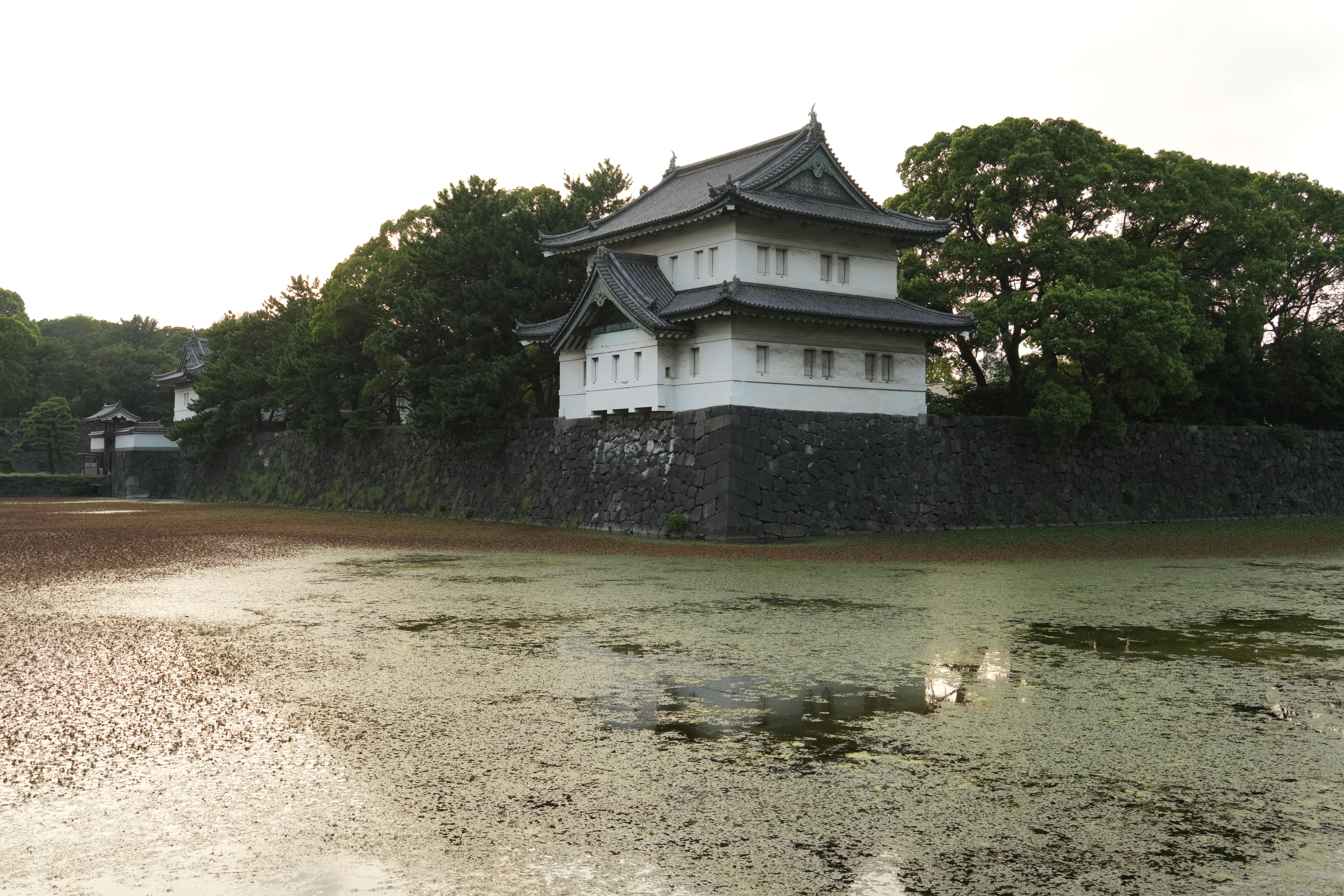 ソニー α7R V／28-300mm F/4-7.1 Di III VC VXD／35mm／絞り優先AE（1/160秒、F8.0、＋0.3EV）／ISO 800