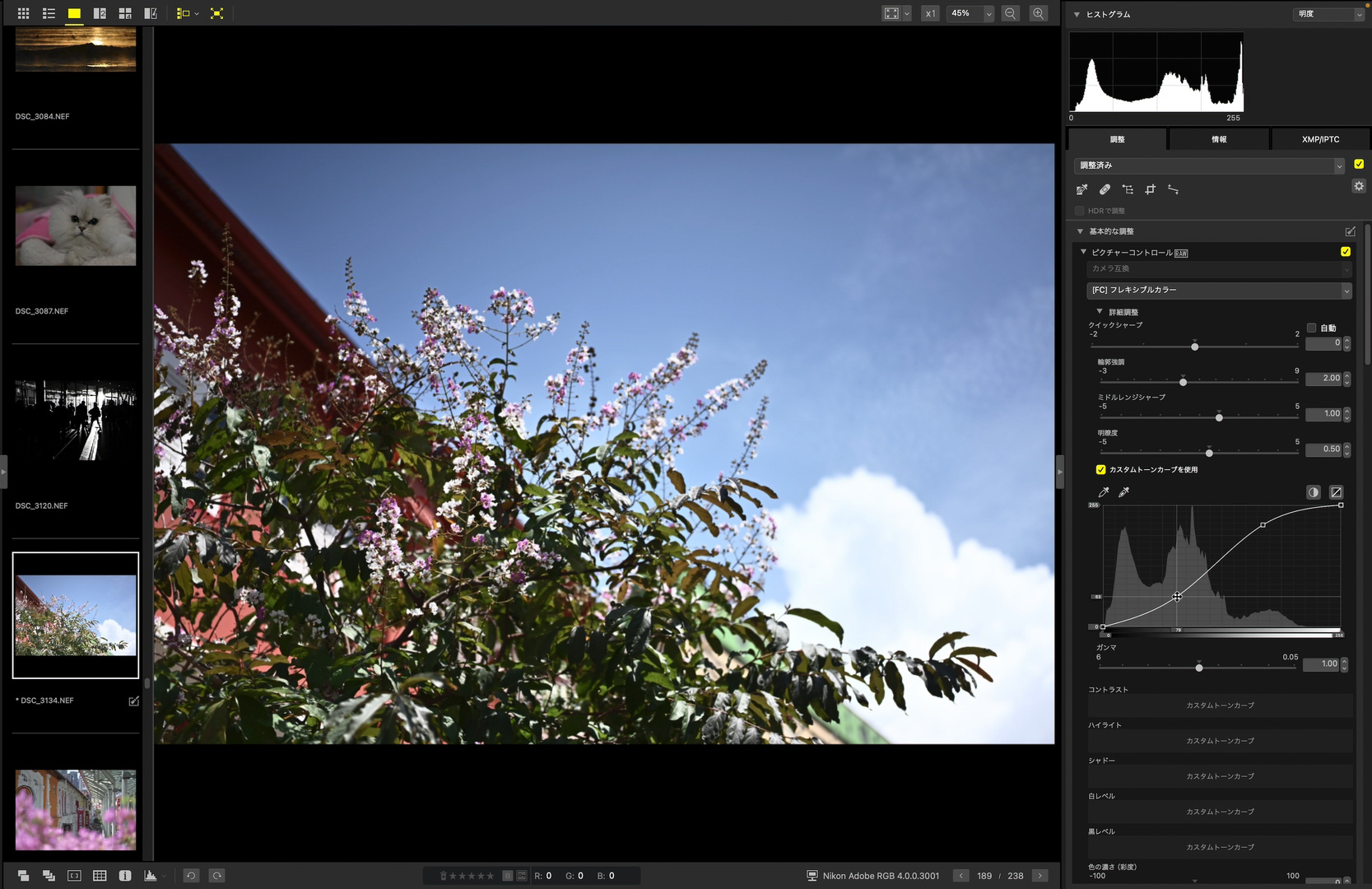 トーンカーブも使えるようになった