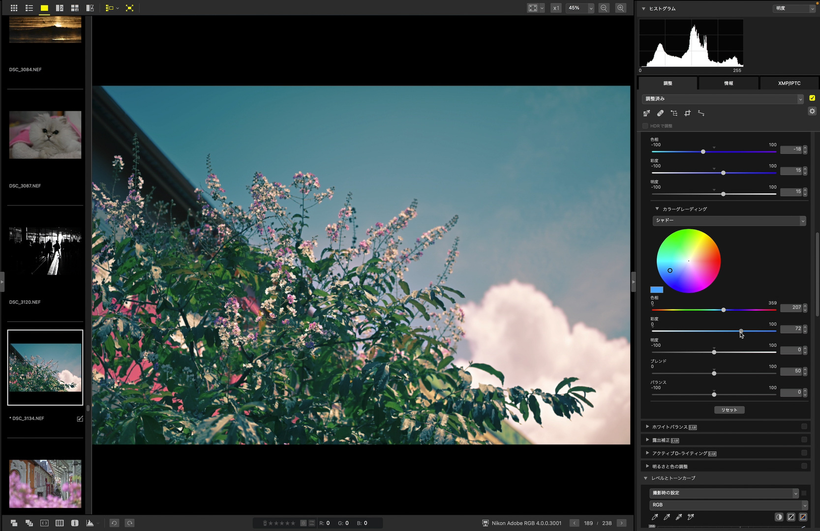 カラーグレーディングでシャドーだけに特定の色を入れることなどもできる