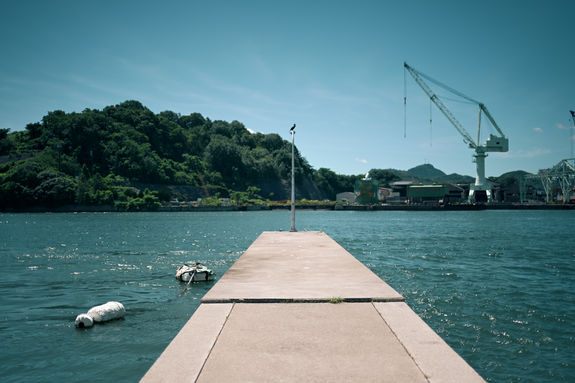 撮影：上田晃司（自作のFCPC「尾道パステル」を適用）