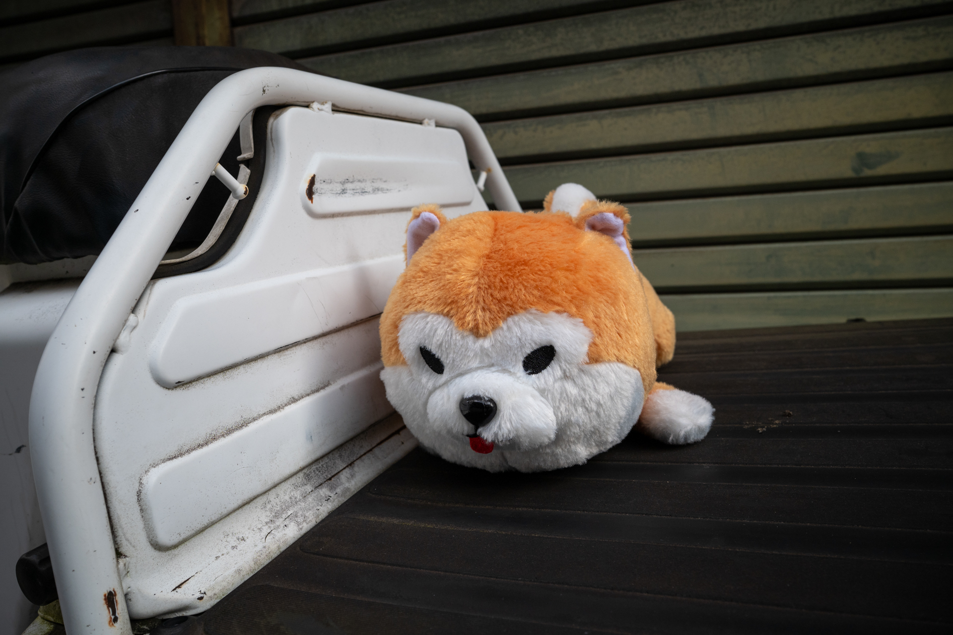 なぜかクルマの荷台にぬいぐるみがありました。LCDを見ることなく適当に撮影したのですが、よいところに合焦します。<br><span class="fnt-85">パナソニック LUMIX S9／SIGMA 24mm F3.5 DG DN｜Contemporary／プログラムAE（1/1,000秒、F8.0、−0.7EV）／ISO 400</span>