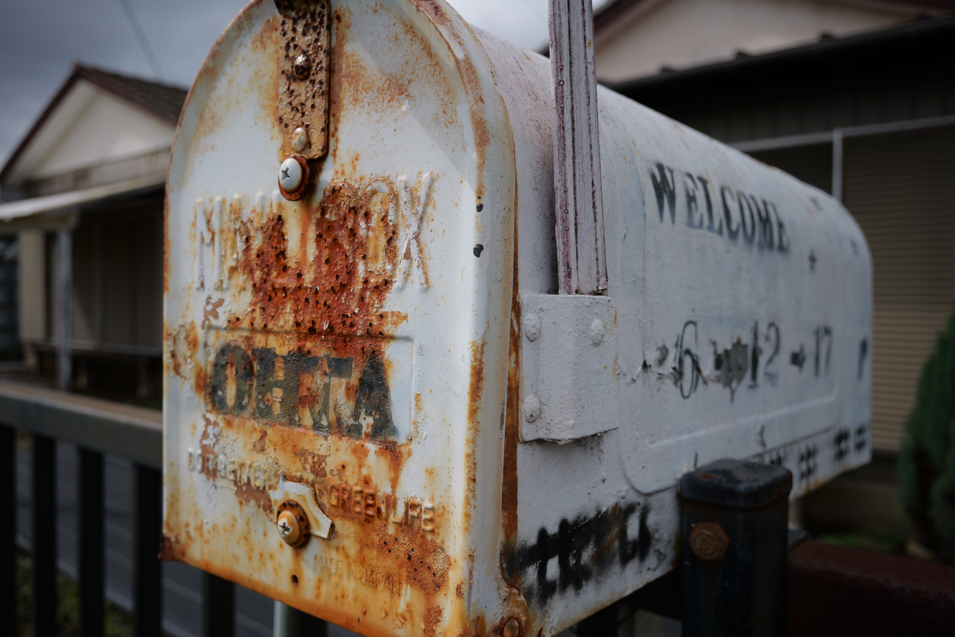 最短撮影距離近辺です。周囲が明るくピントを見極めることができません。フォーカスリングを少しづつズラして数コマ撮影し、合焦しているコマを選びました。手動フォーカスブラケッティングです。26mmって、意外と被写界深度が浅いですね。<br><span class="fnt-85">パナソニック LUMIX S9／LUMIX S 26mm F8／絞り優先AE（1/1,600秒、F8.0、−0.3EV）／ISO 400</span>